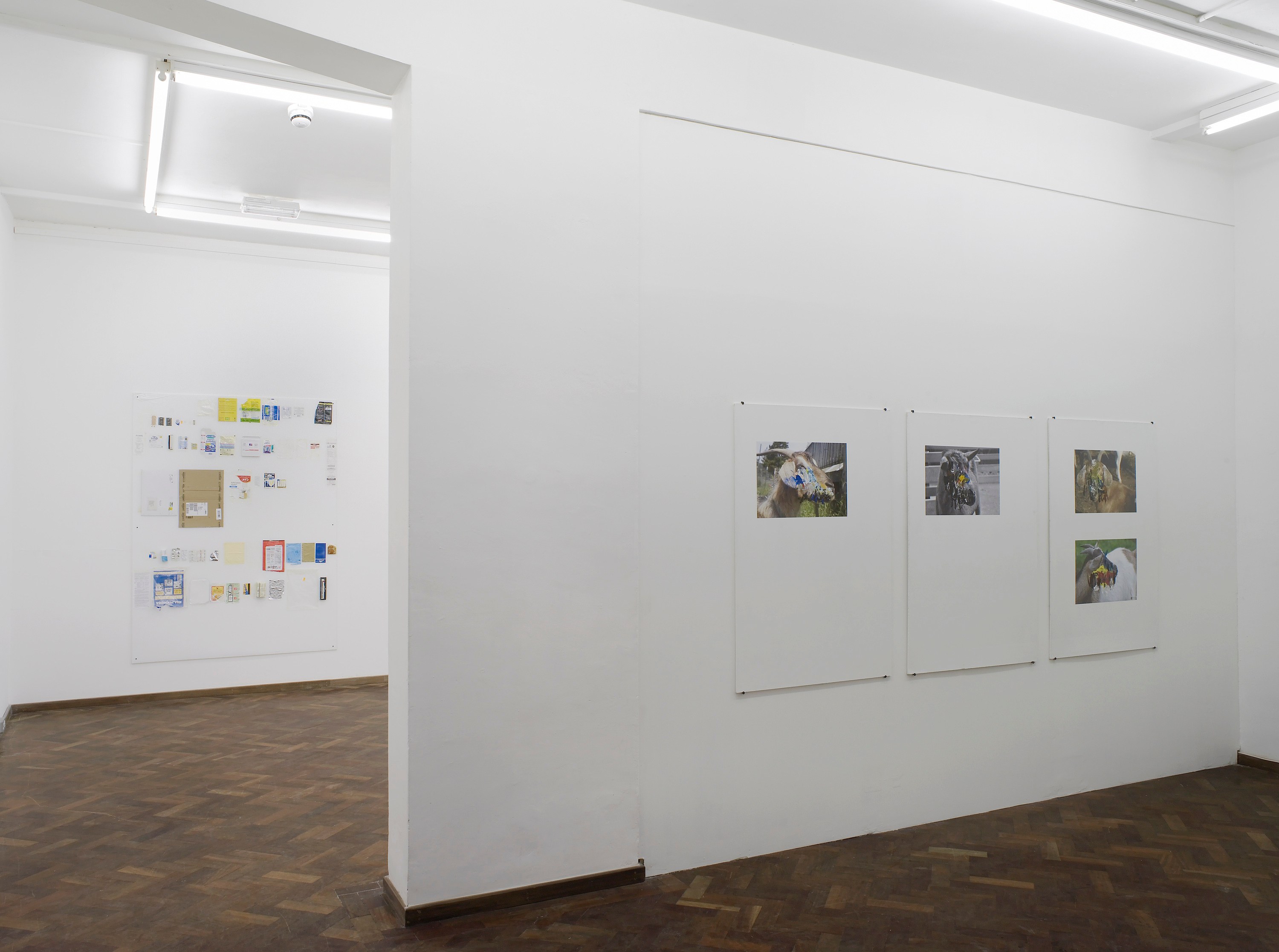 Henrik Olesen, Untitled at Cabinet, photo 9