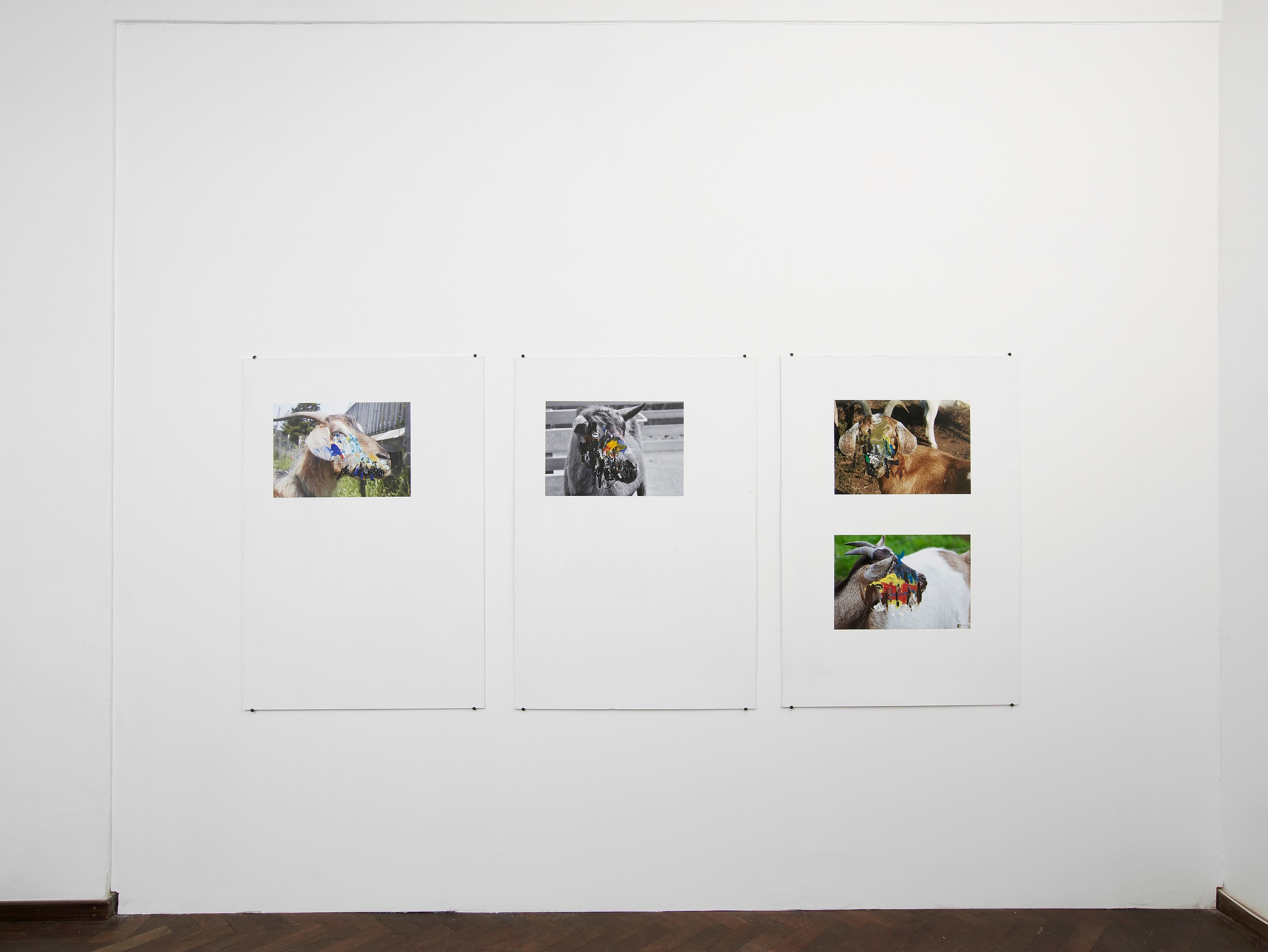 Henrik Olesen, Untitled at Cabinet, photo 11
