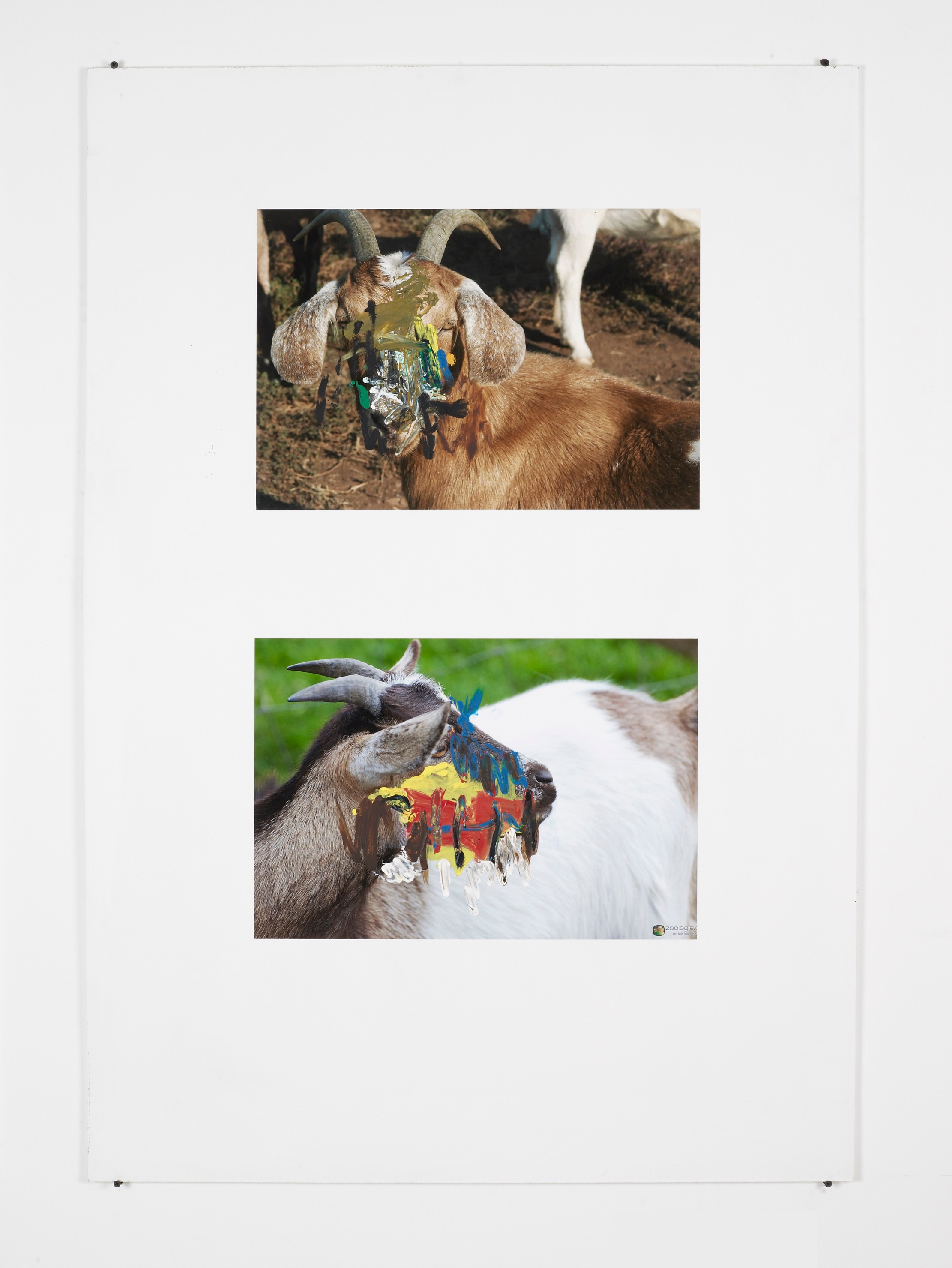 Henrik Olesen, Untitled at Cabinet, photo 12