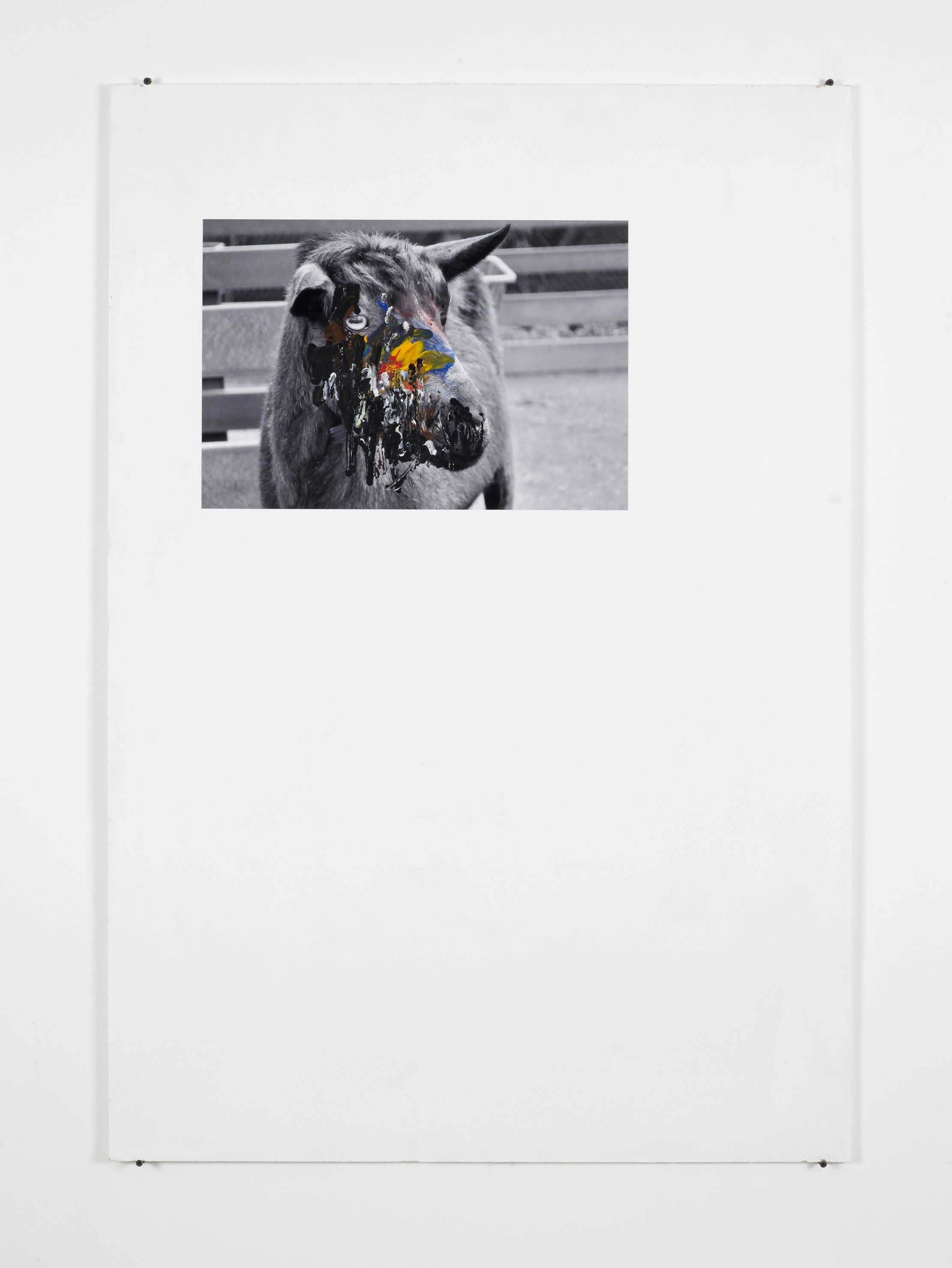 Henrik Olesen, Untitled at Cabinet, photo 13