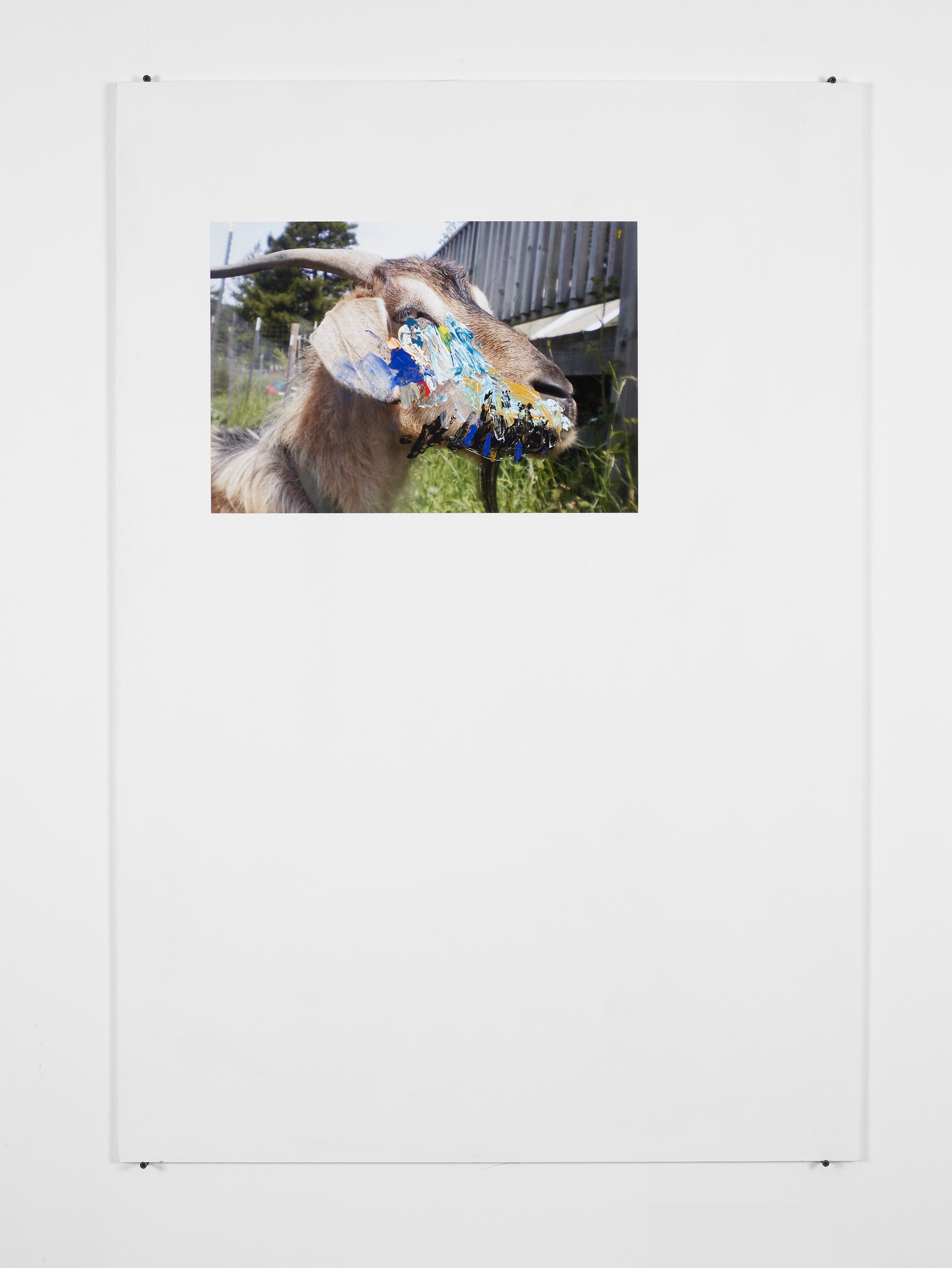 Henrik Olesen, Untitled at Cabinet, photo 14