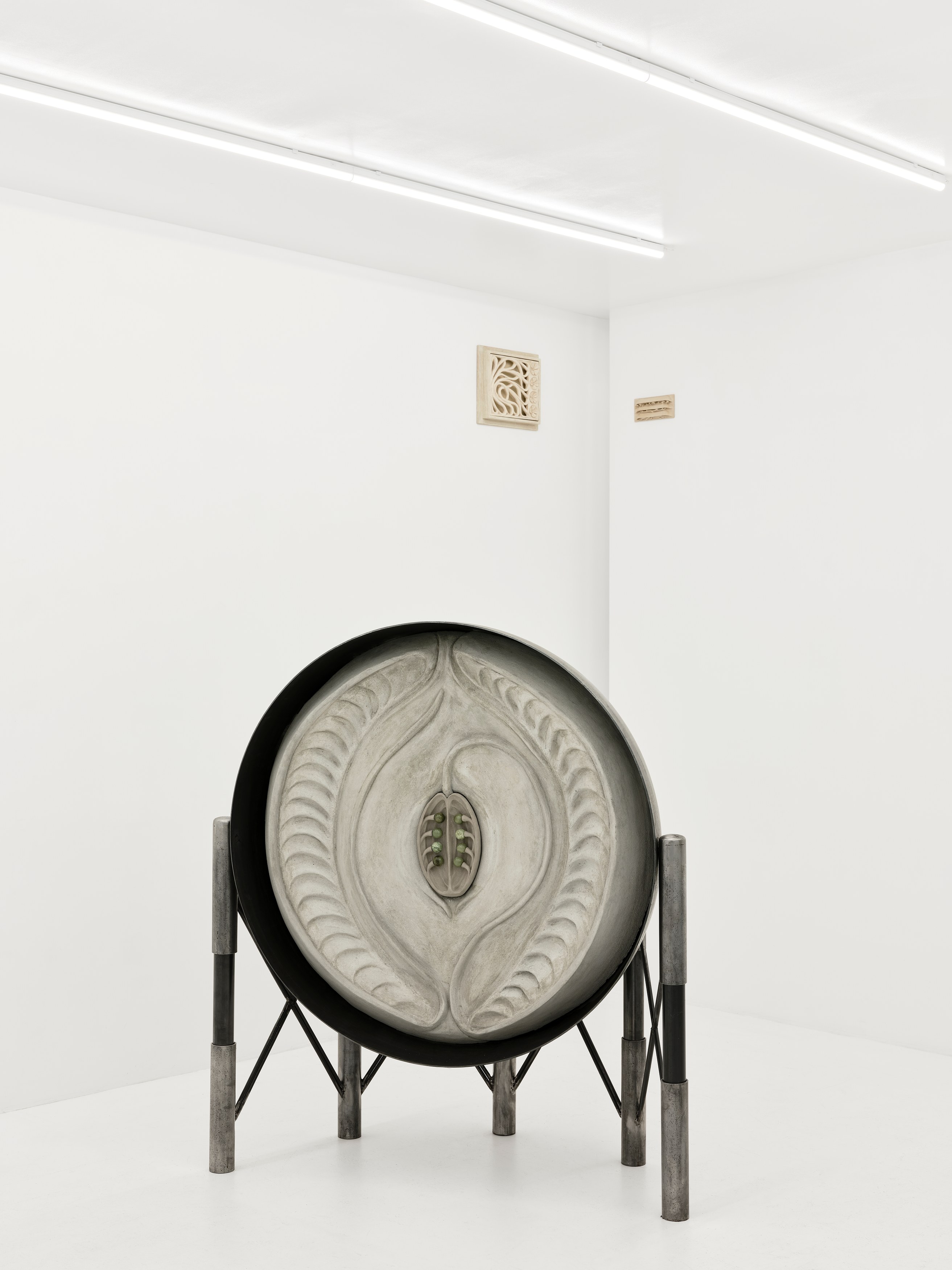 Xolo Cuintle, image 21 of 25