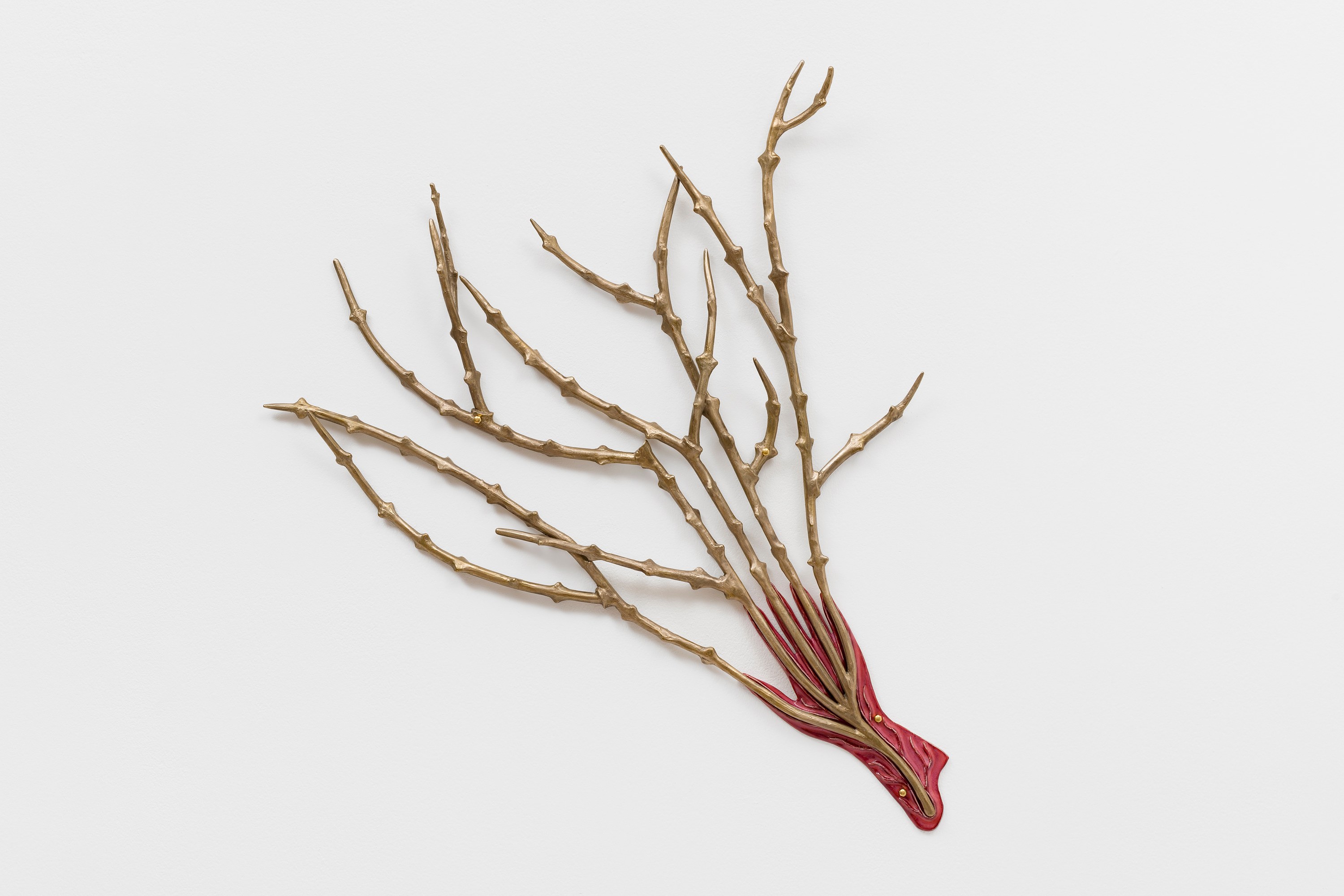 Paloma Proudfoot, image 48 of 79