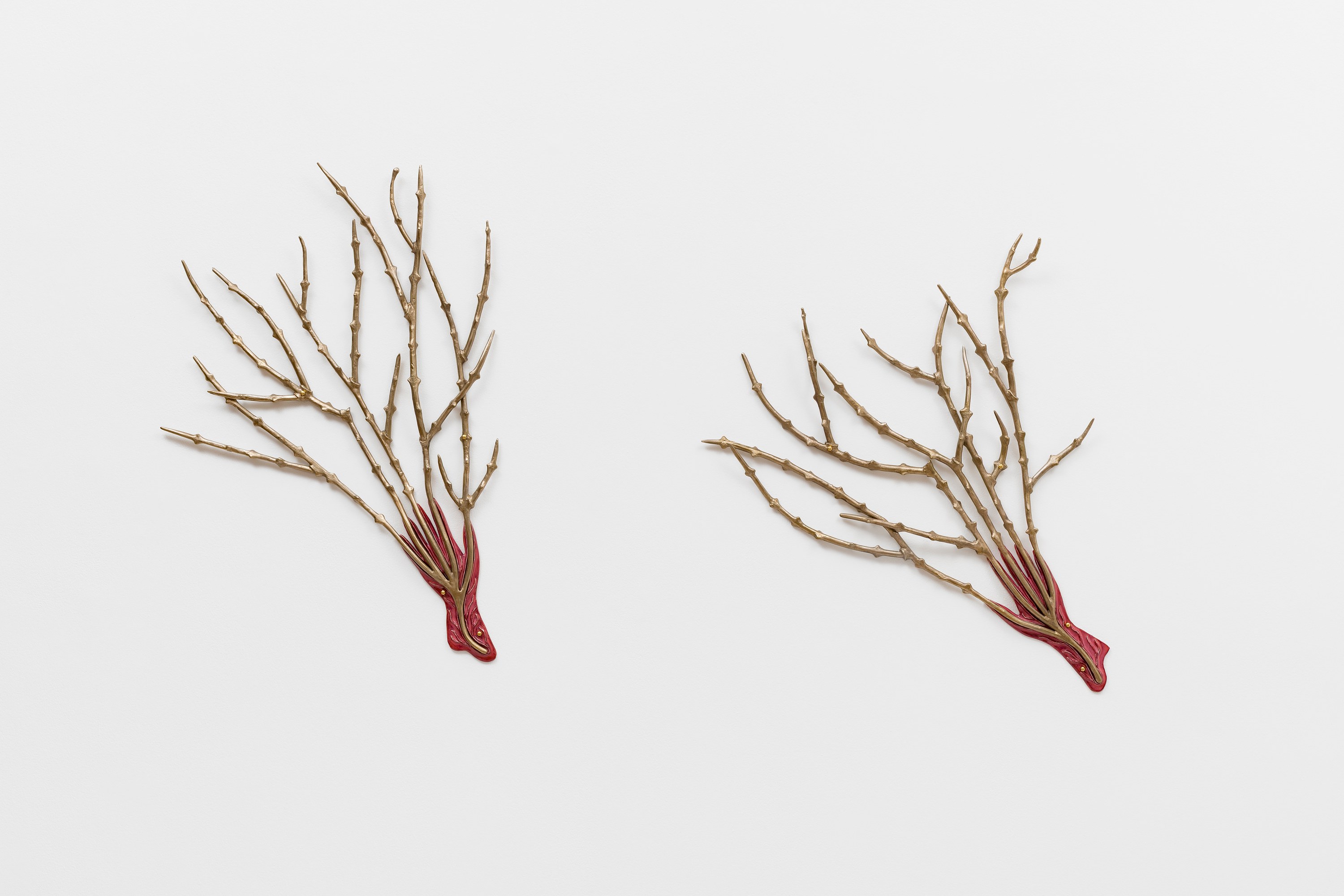 Paloma Proudfoot, image 47 of 79