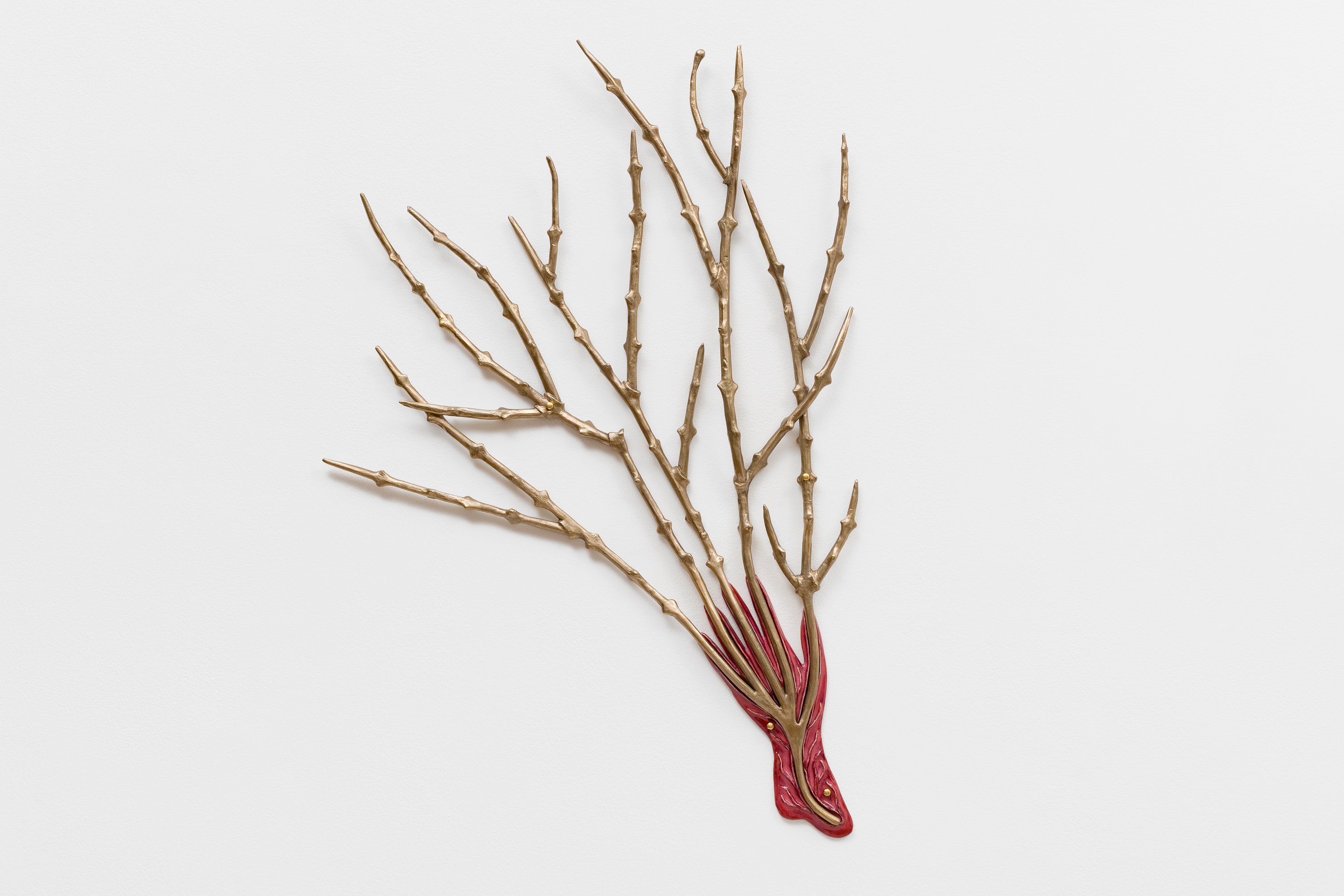 Paloma Proudfoot, image 49 of 79
