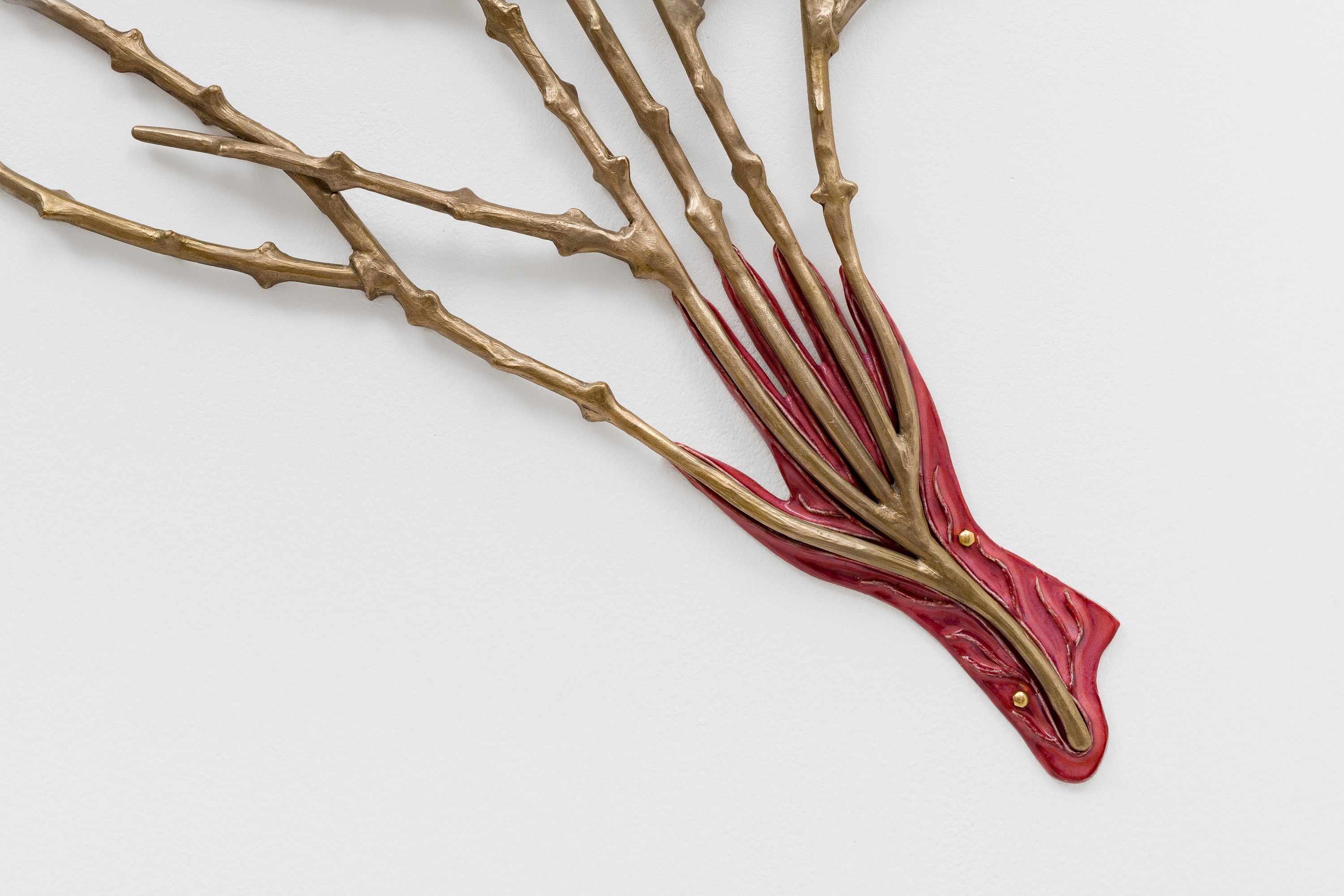 Paloma Proudfoot, image 51 of 79