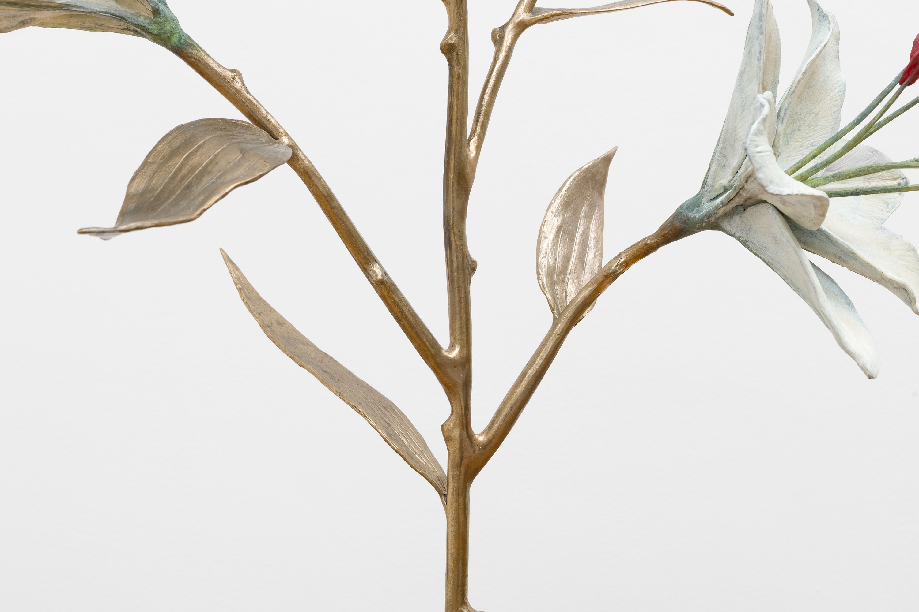 Paloma Proudfoot, image 59 of 79