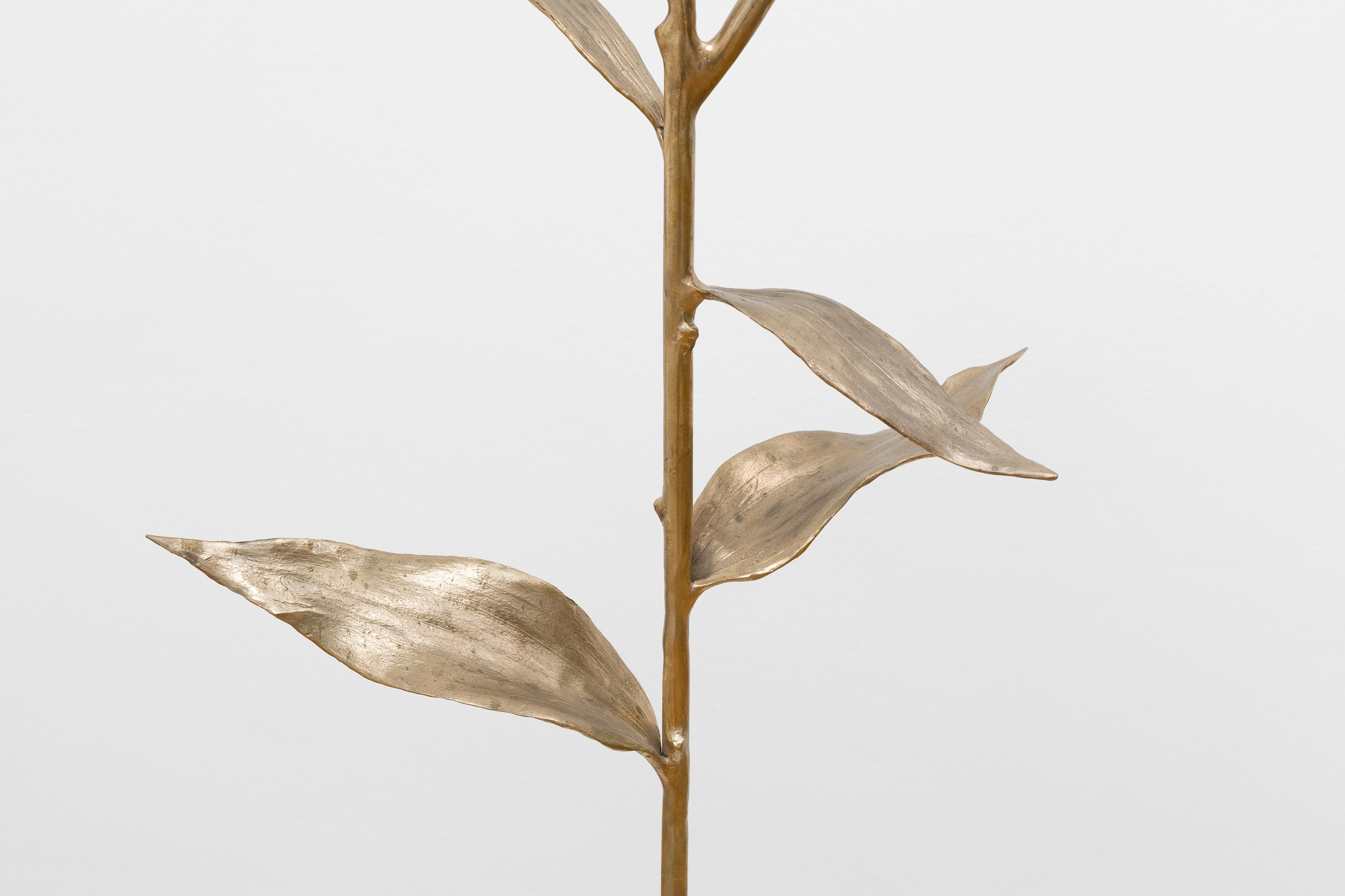 Paloma Proudfoot, image 60 of 79