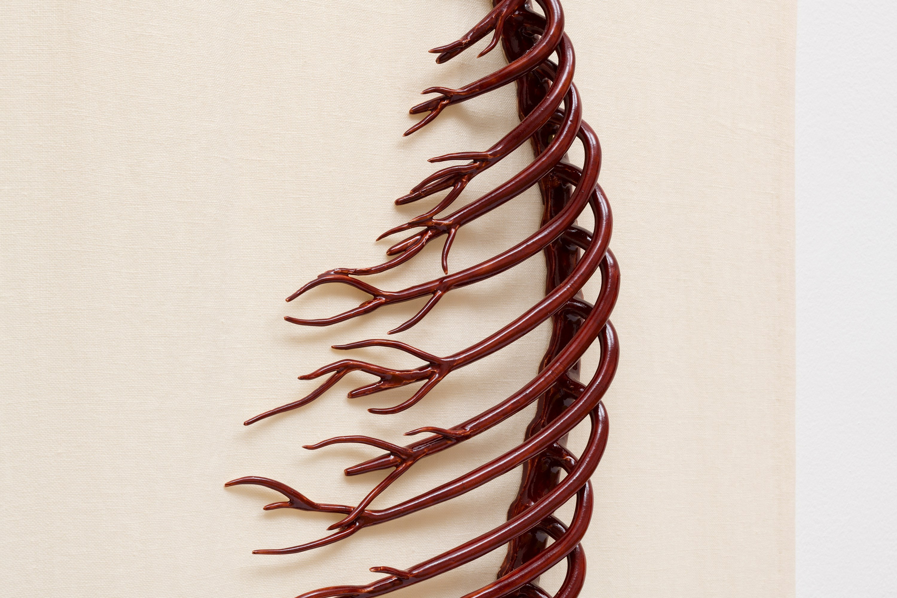 Paloma Proudfoot, image 77 of 79