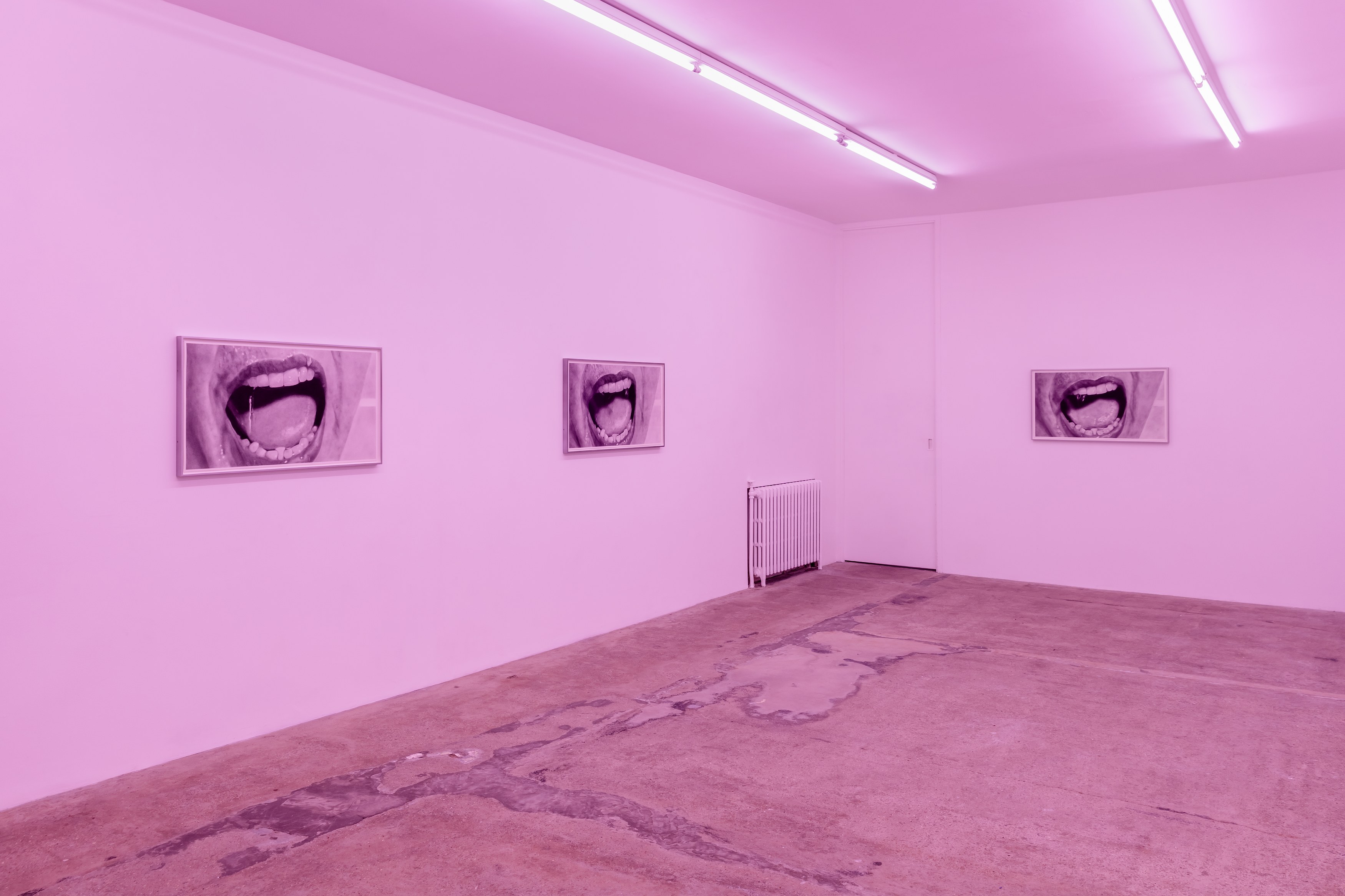 Eva Gold, To Be Animal at Rose Easton, photo 2