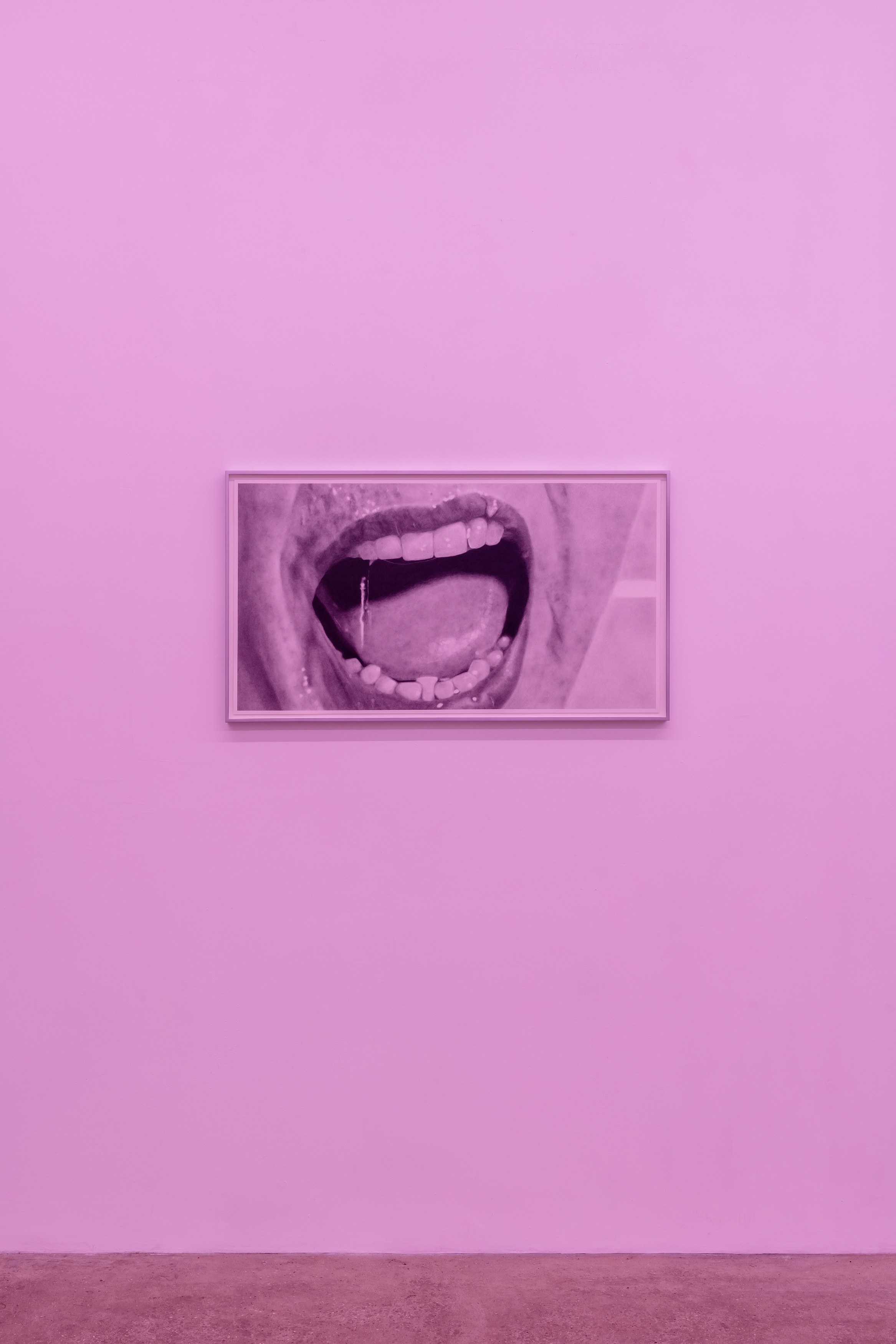 Eva Gold, To Be Animal at Rose Easton, photo 3