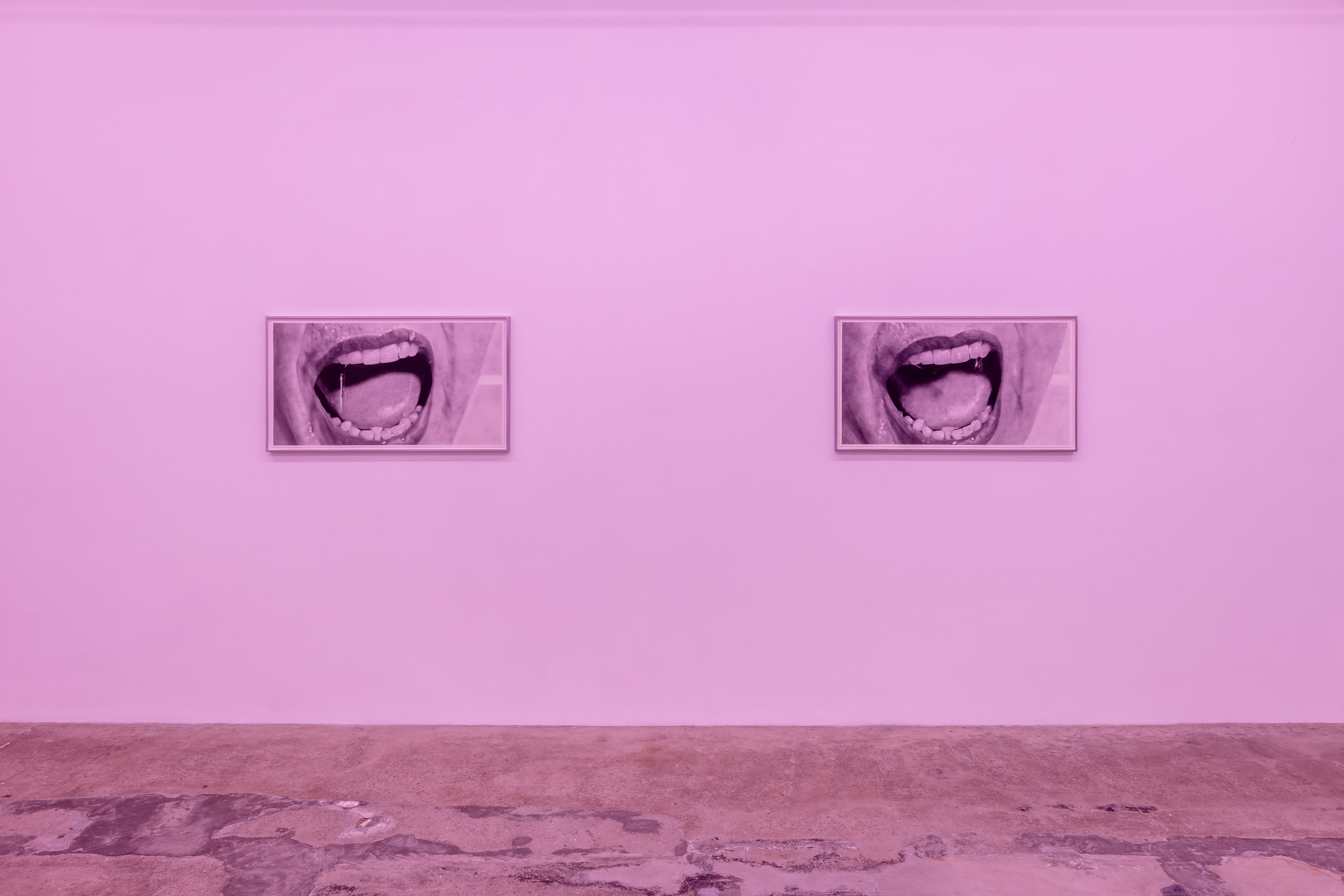 Eva Gold, To Be Animal at Rose Easton, photo 5