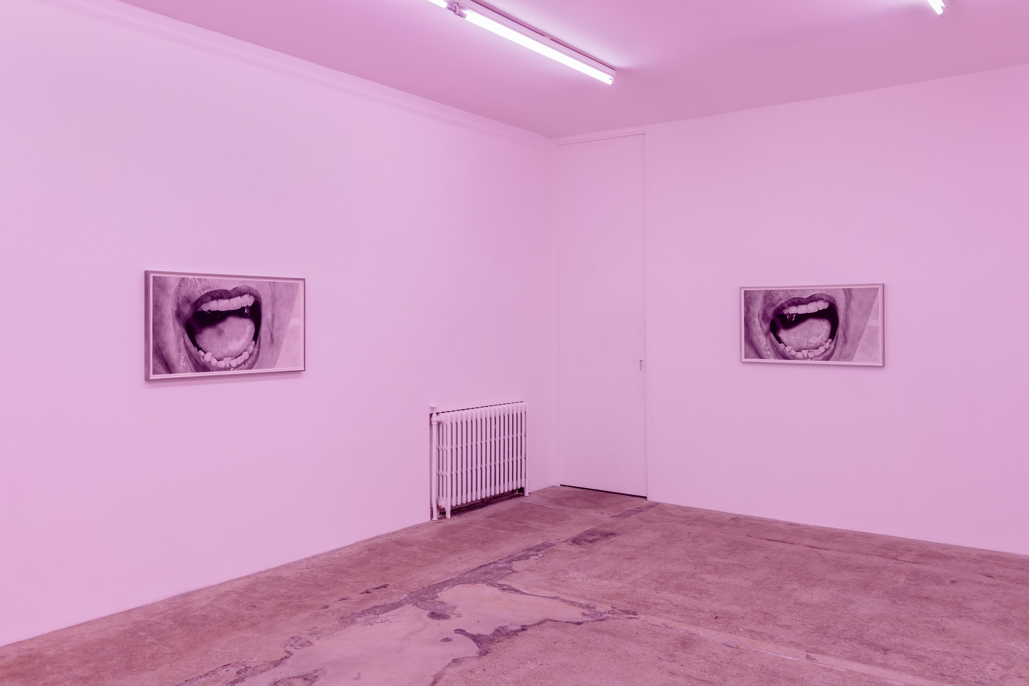 Eva Gold, To Be Animal at Rose Easton, photo 7