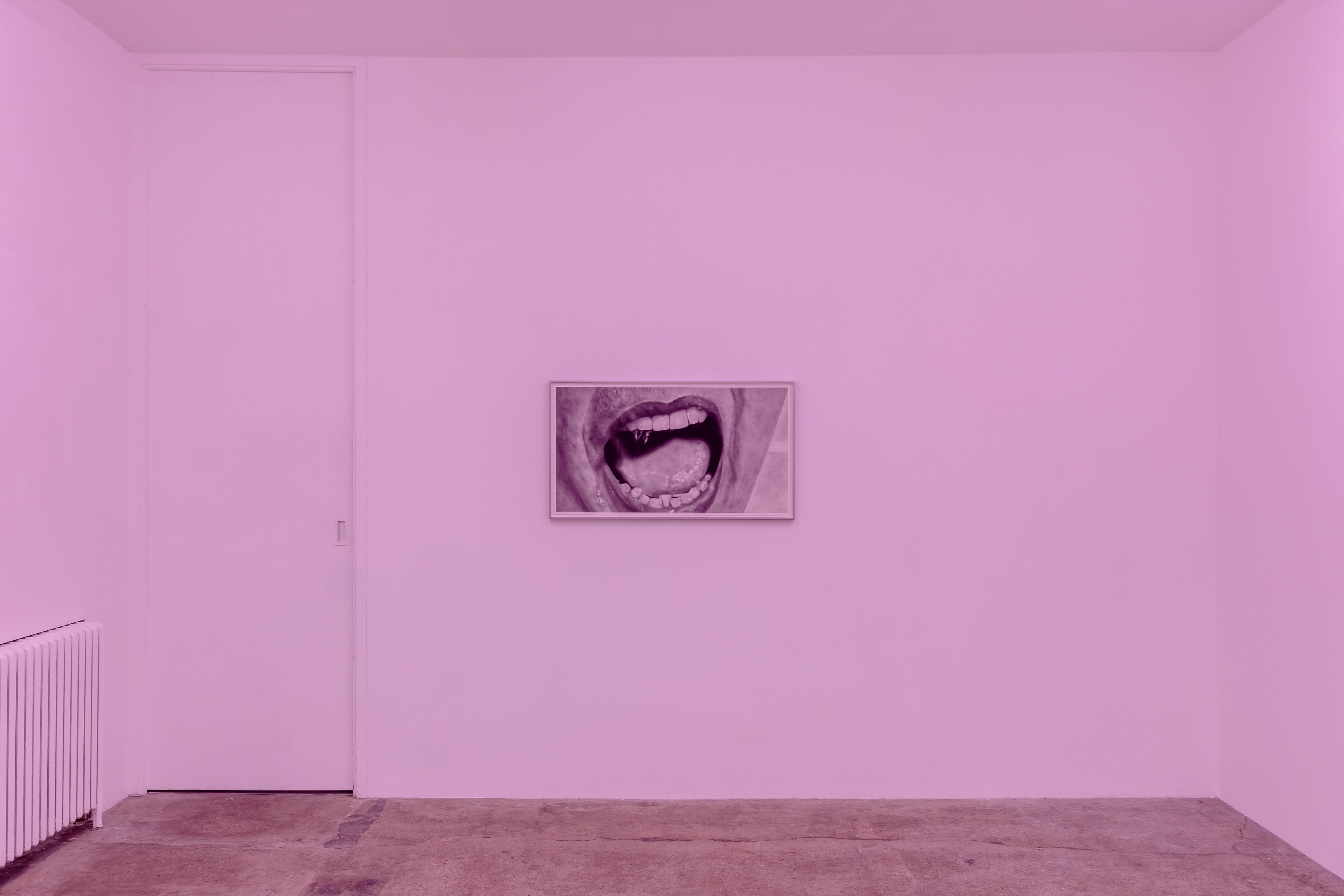 Eva Gold, To Be Animal at Rose Easton, photo 9