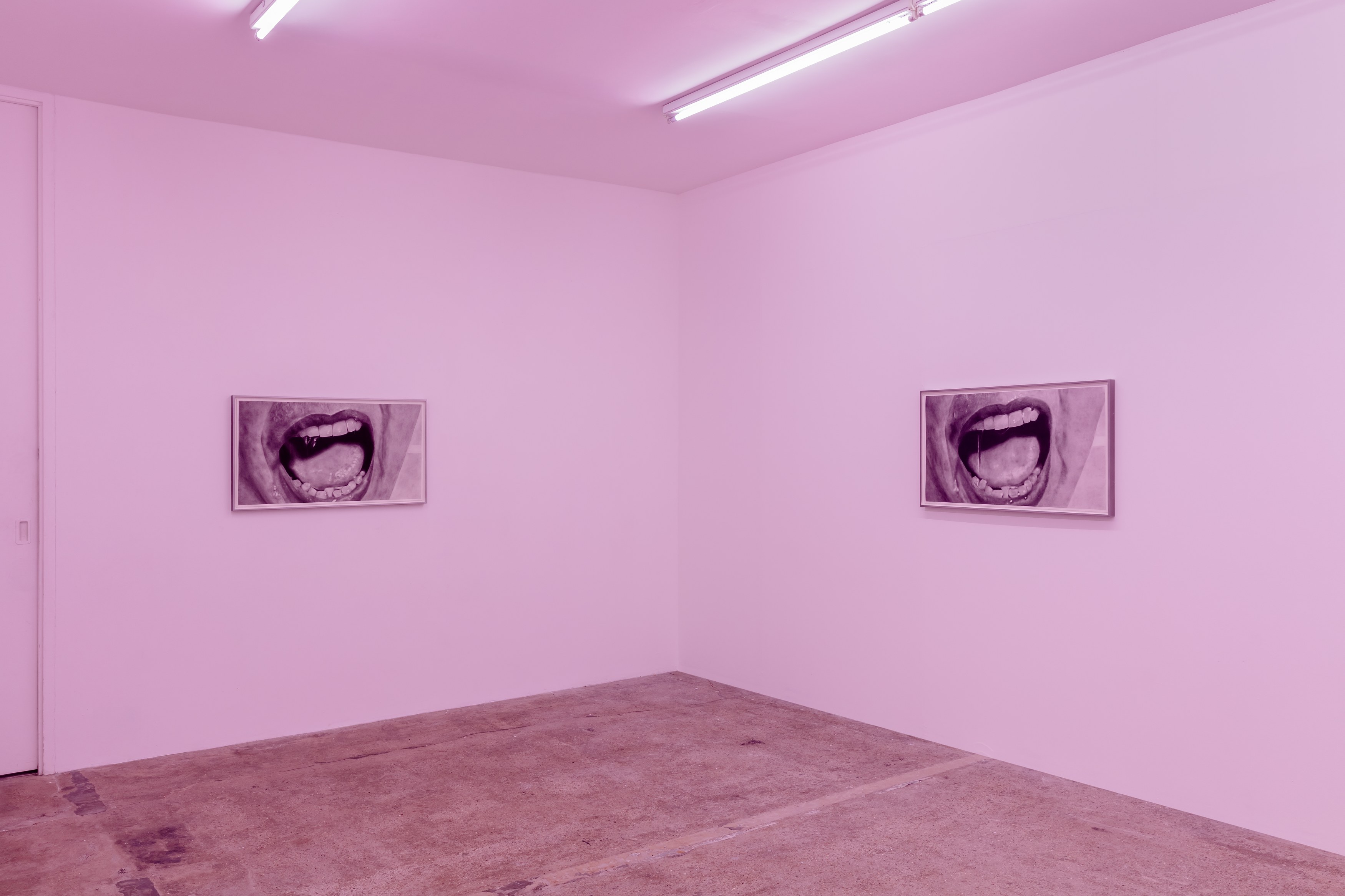 Eva Gold, To Be Animal at Rose Easton, photo 11