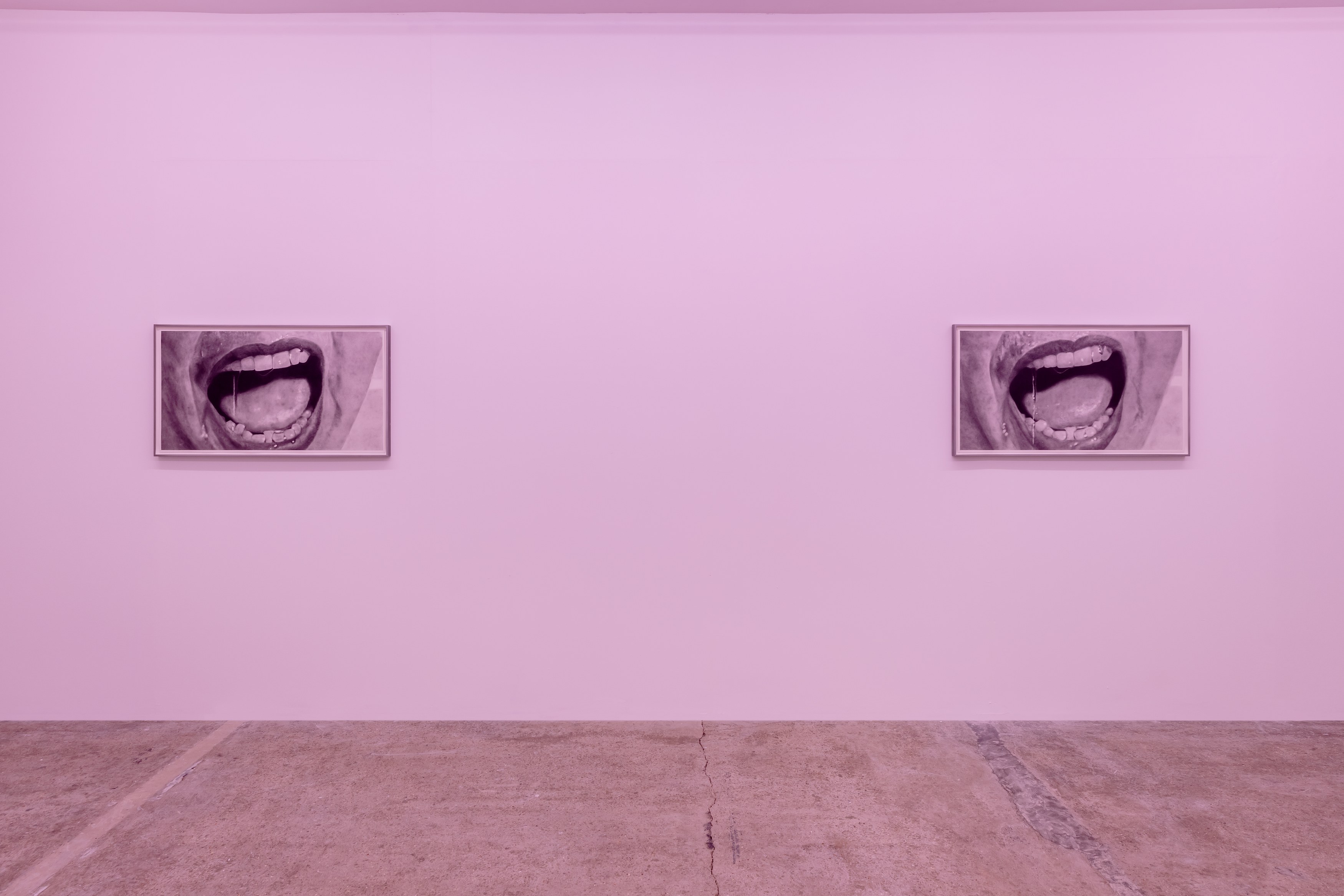 Eva Gold, To Be Animal at Rose Easton, photo 13