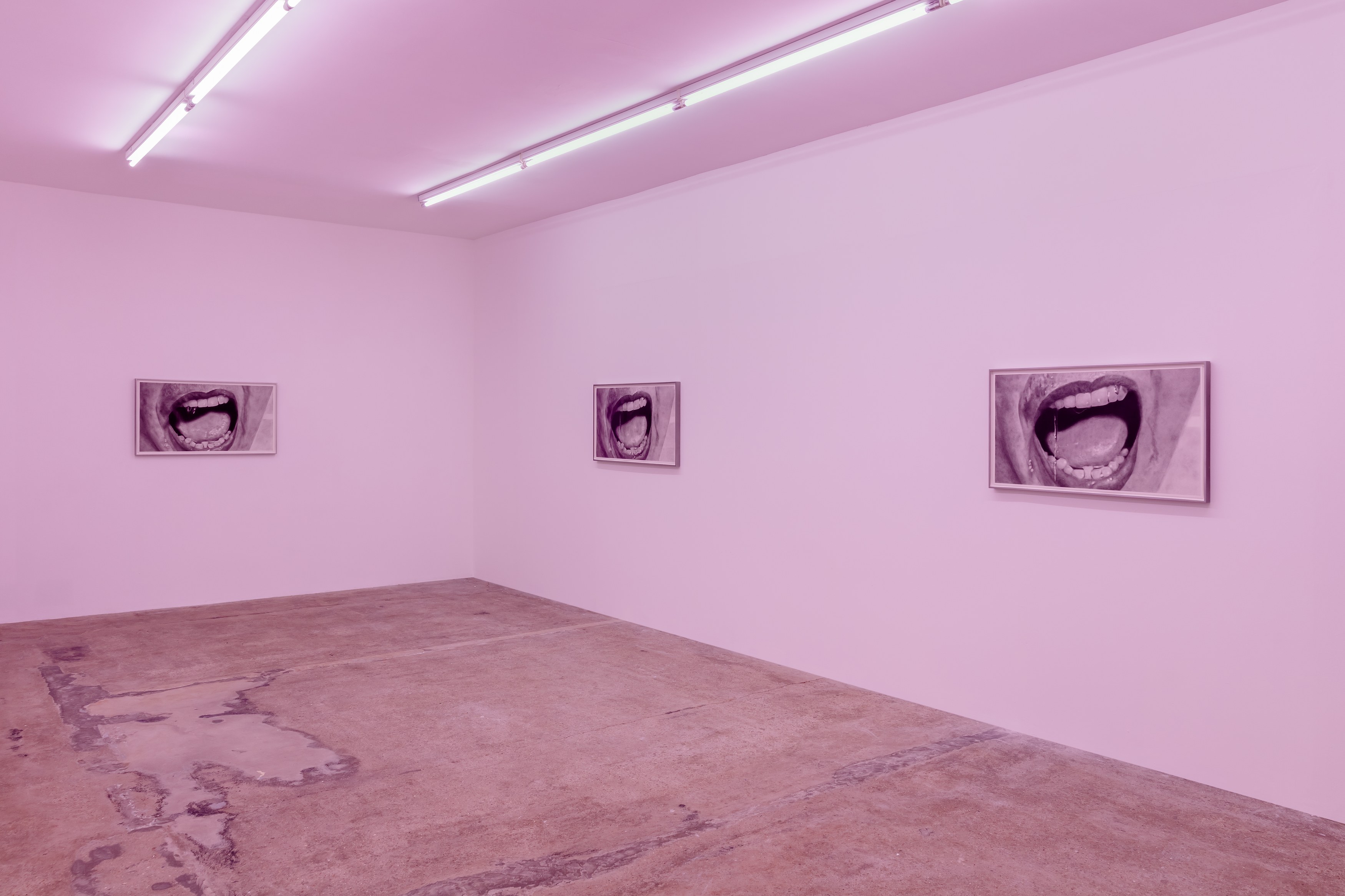 Eva Gold, To Be Animal at Rose Easton, photo 12