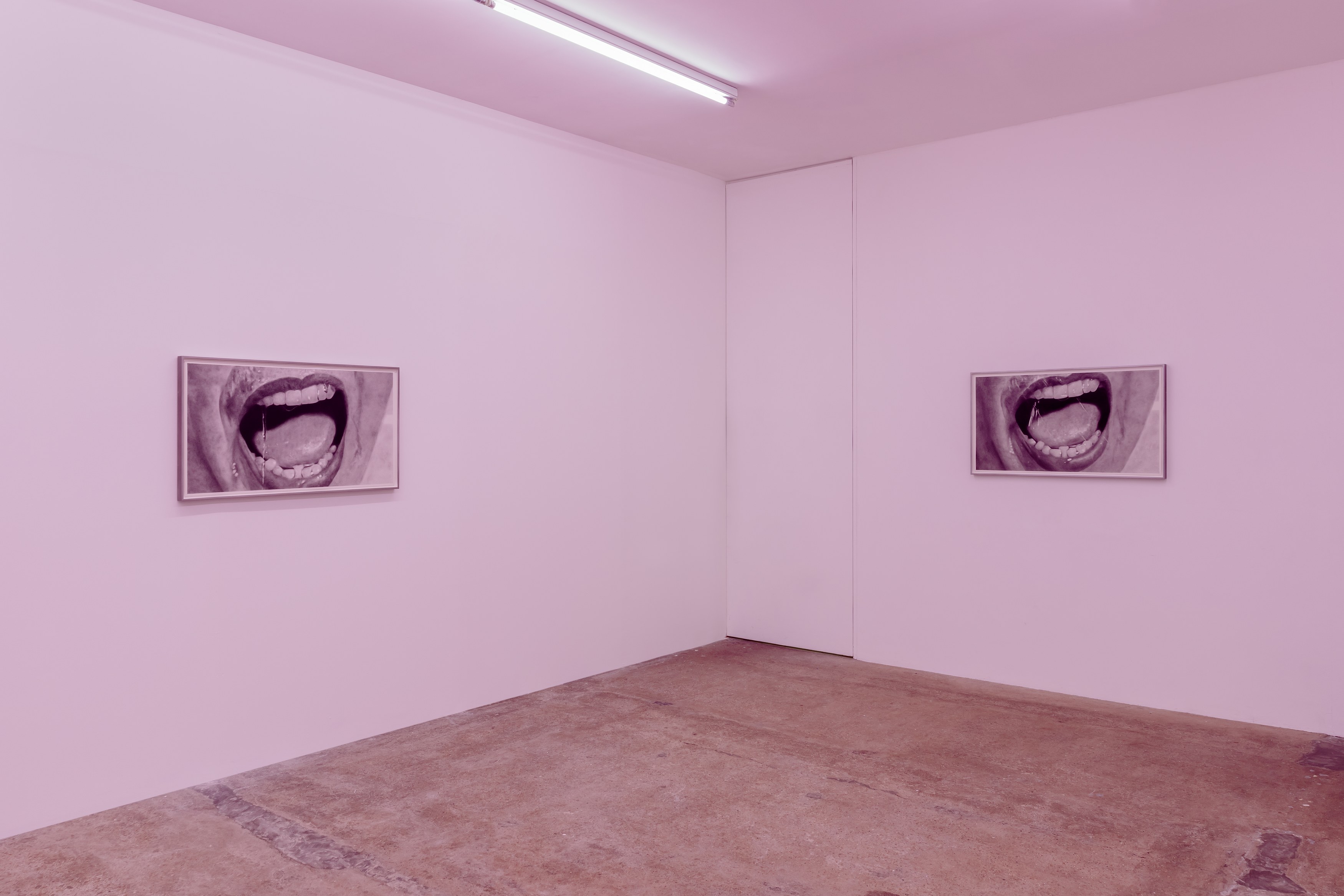 Eva Gold, To Be Animal at Rose Easton, photo 15