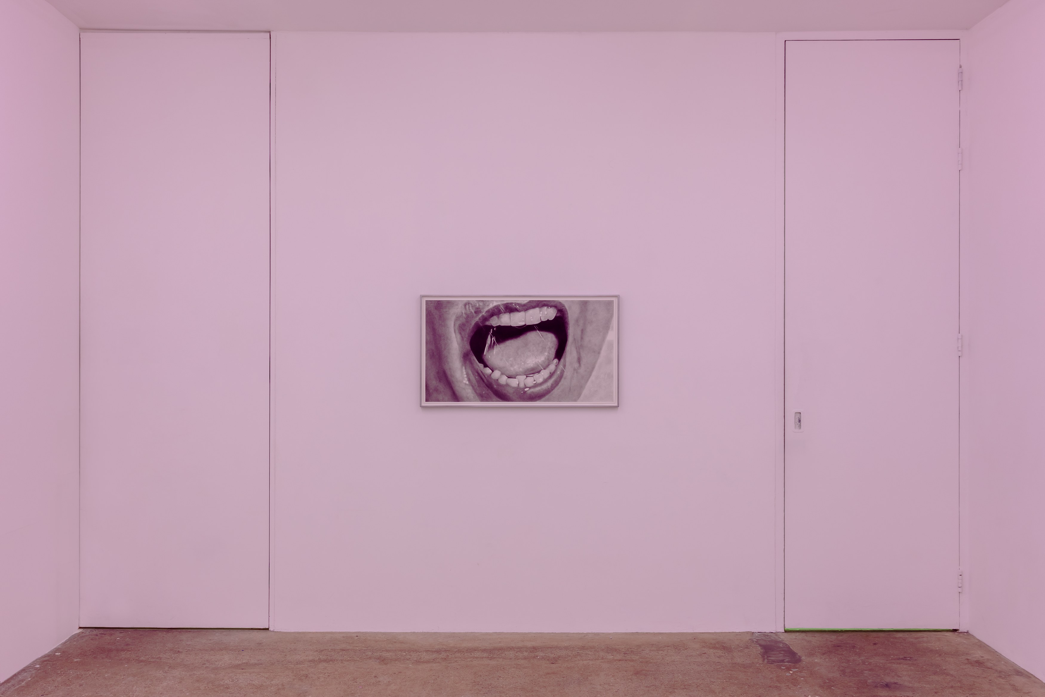 Eva Gold, To Be Animal at Rose Easton, photo 18