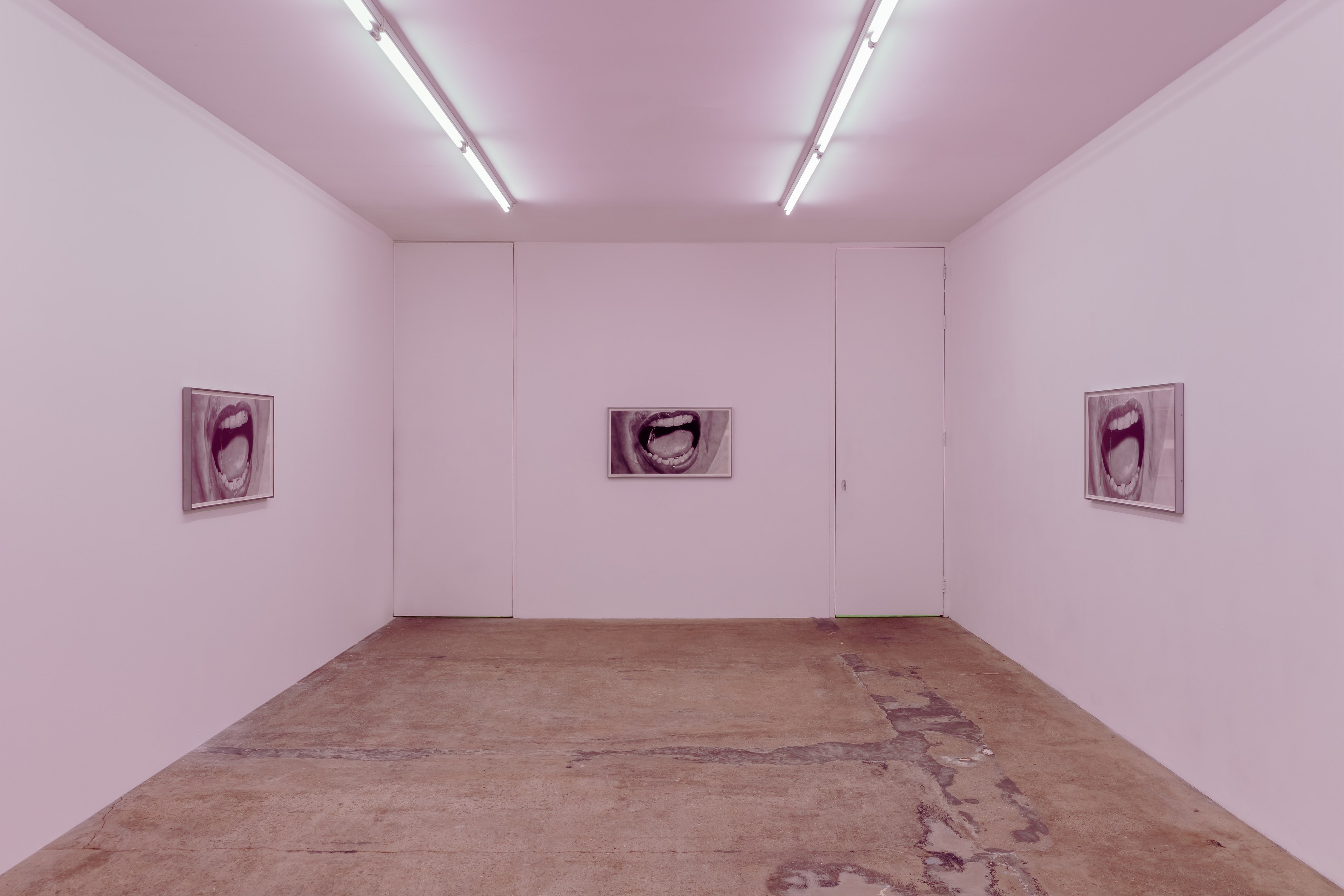 Eva Gold, To Be Animal at Rose Easton, photo 19