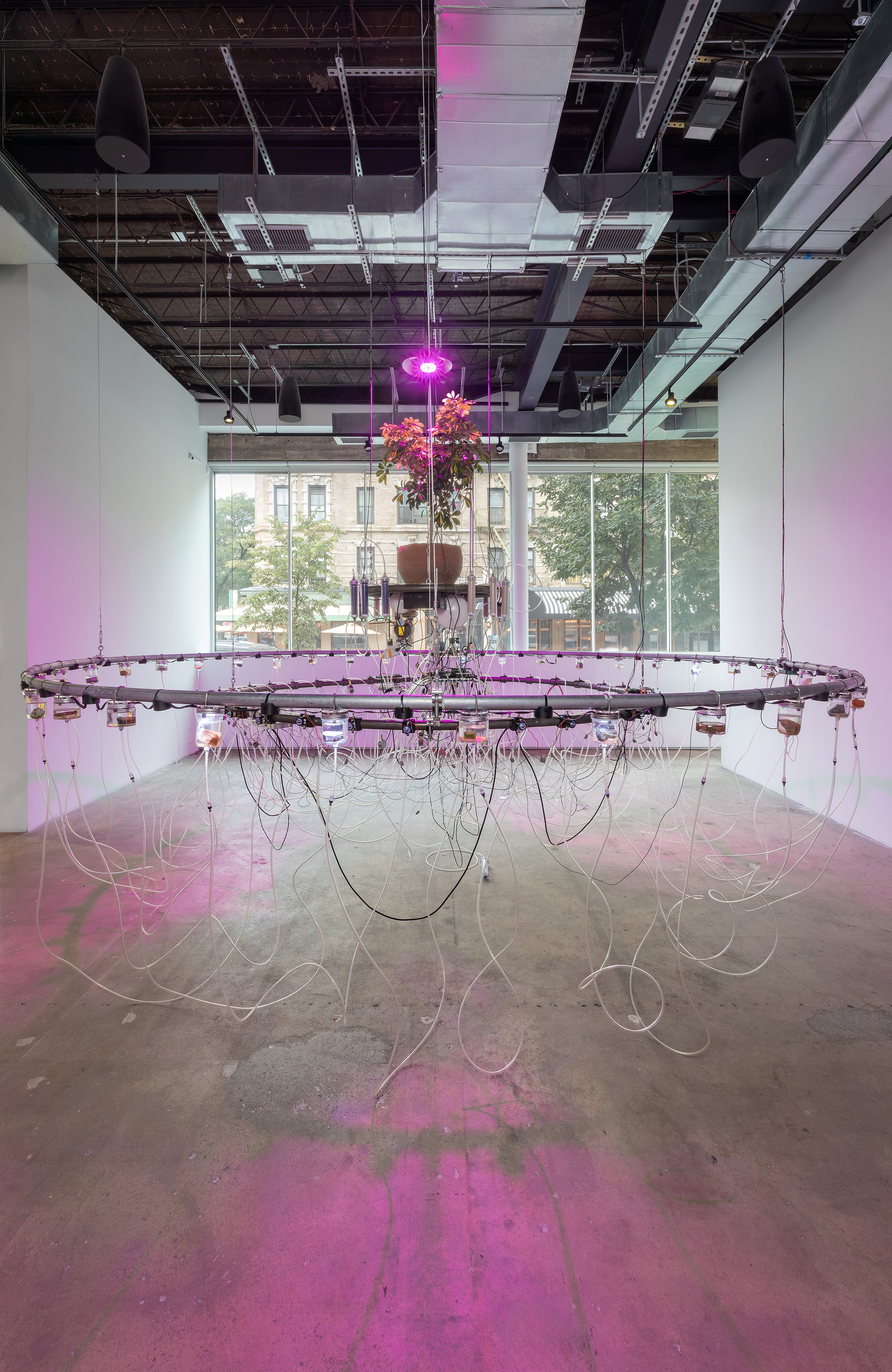 Bagus Pandega, Daya Benda at Swiss Institute, photo 17