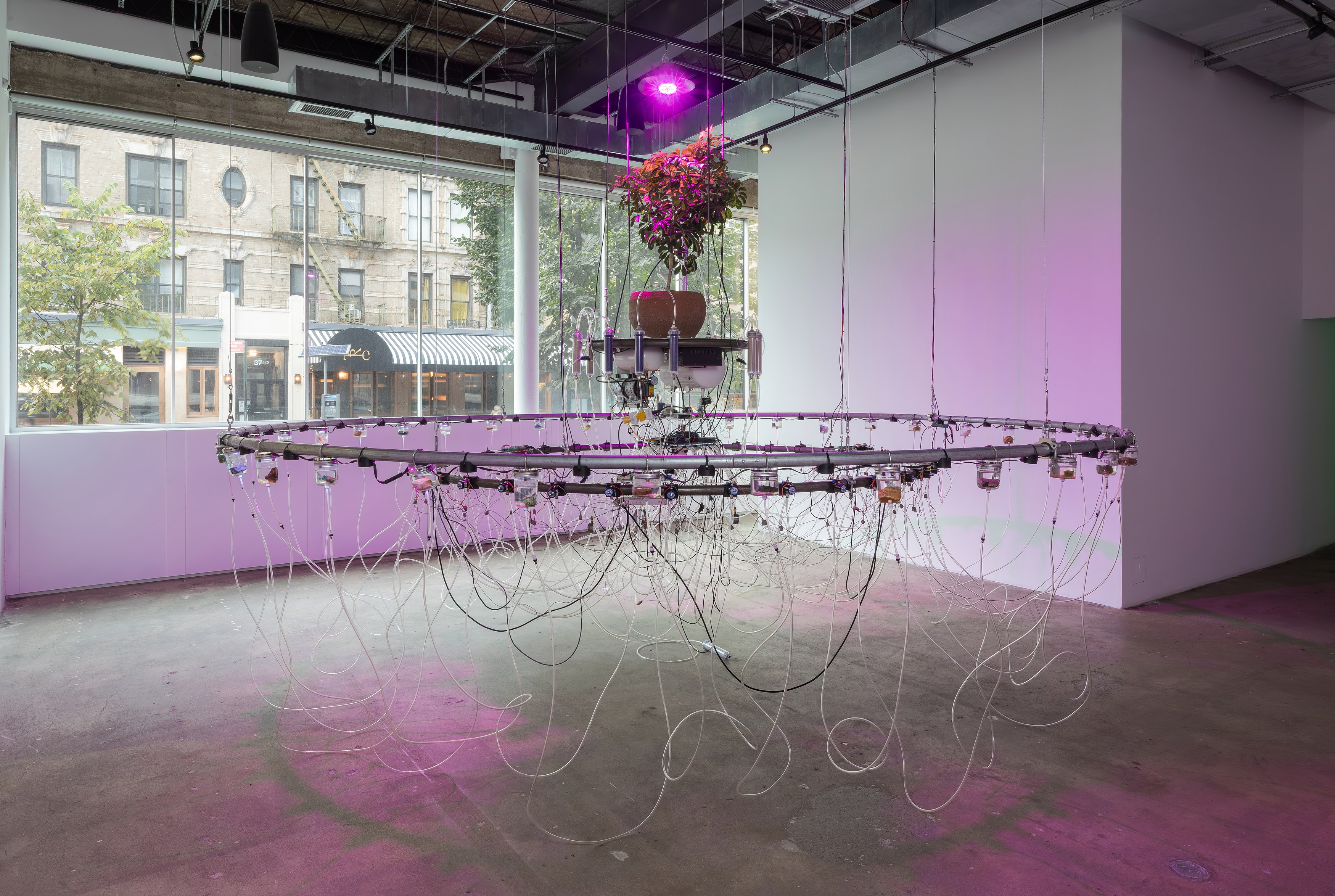 Bagus Pandega, Daya Benda at Swiss Institute, photo 18
