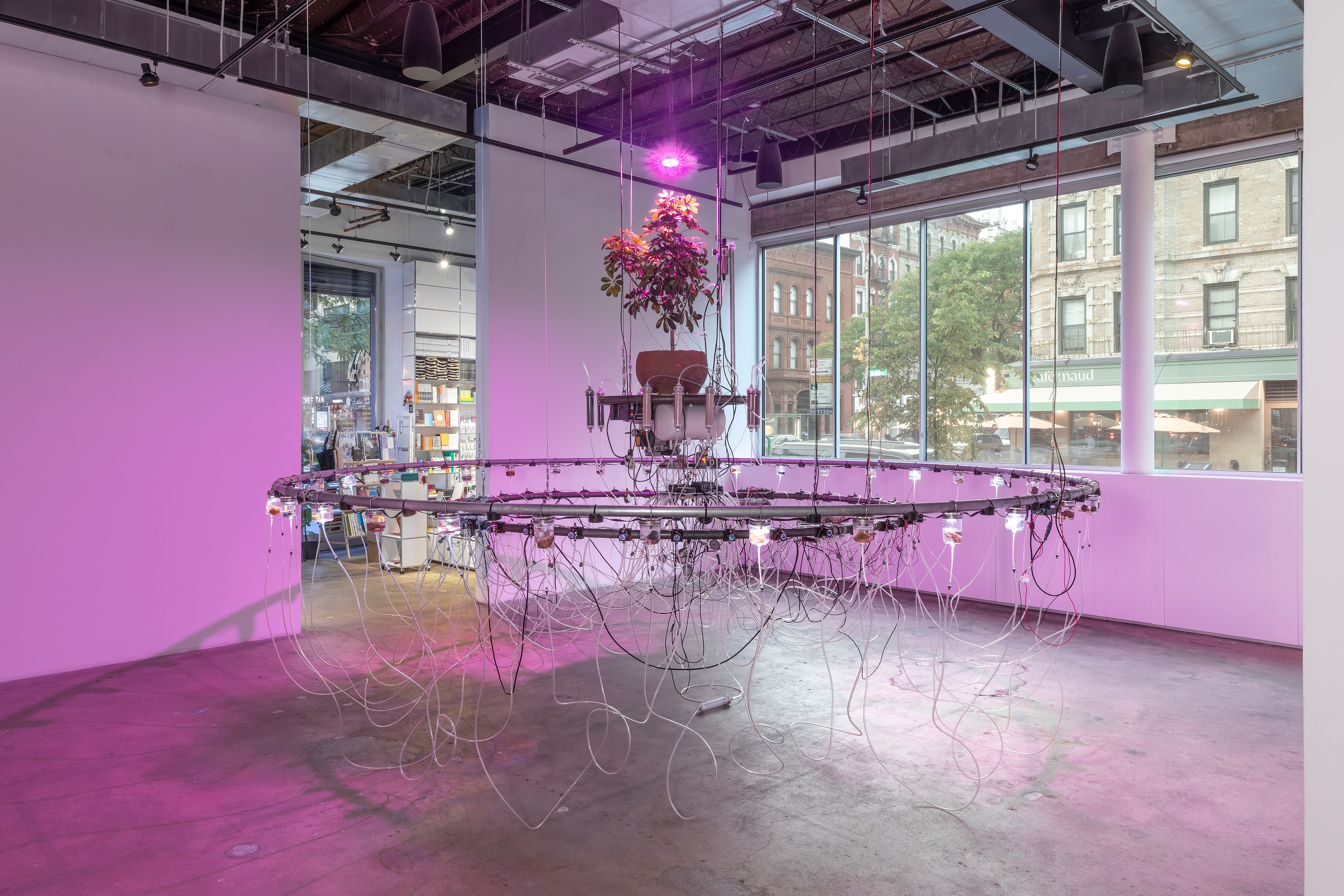 Bagus Pandega, Daya Benda at Swiss Institute, photo 19