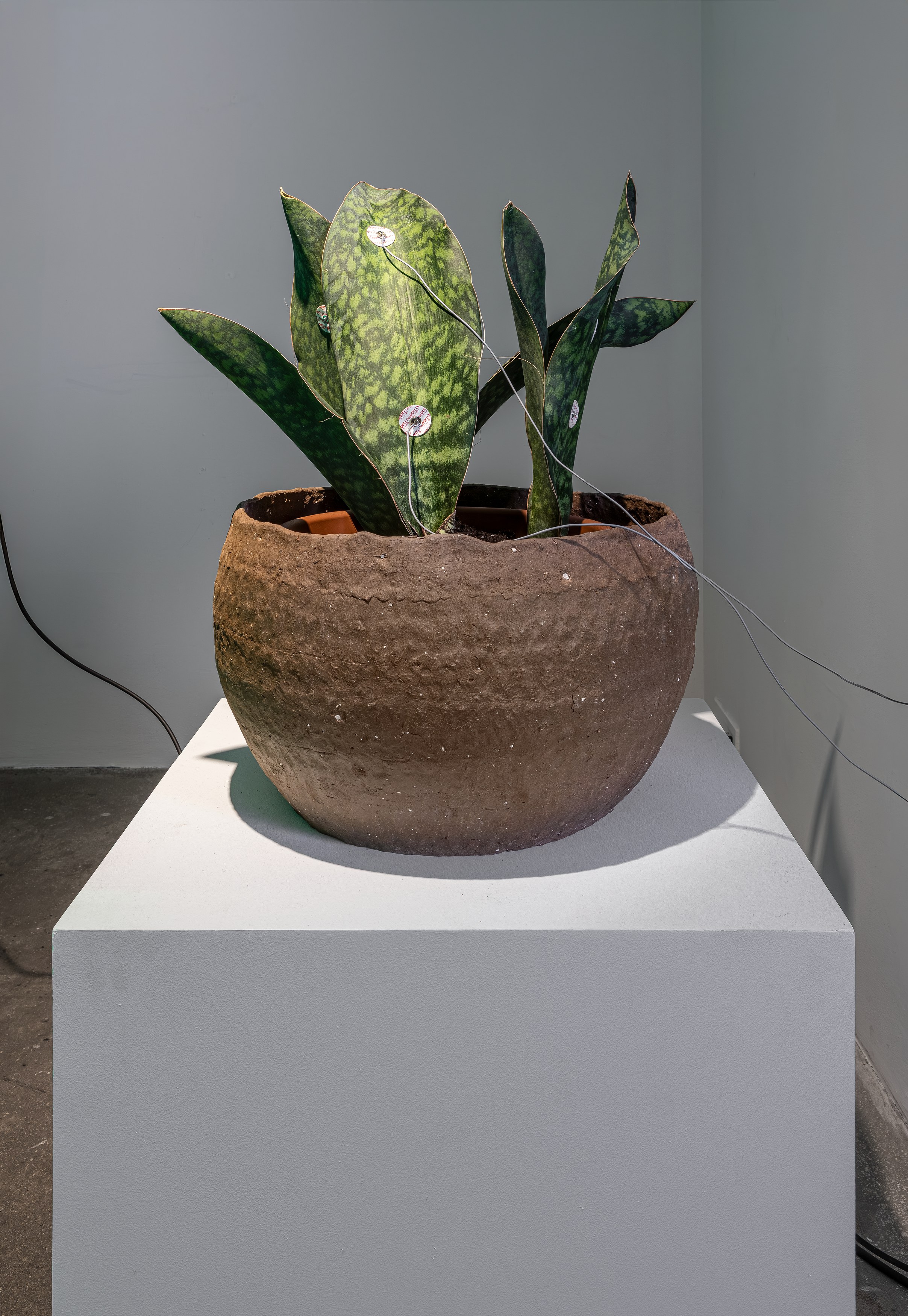 Bagus Pandega, Daya Benda at Swiss Institute, photo 23