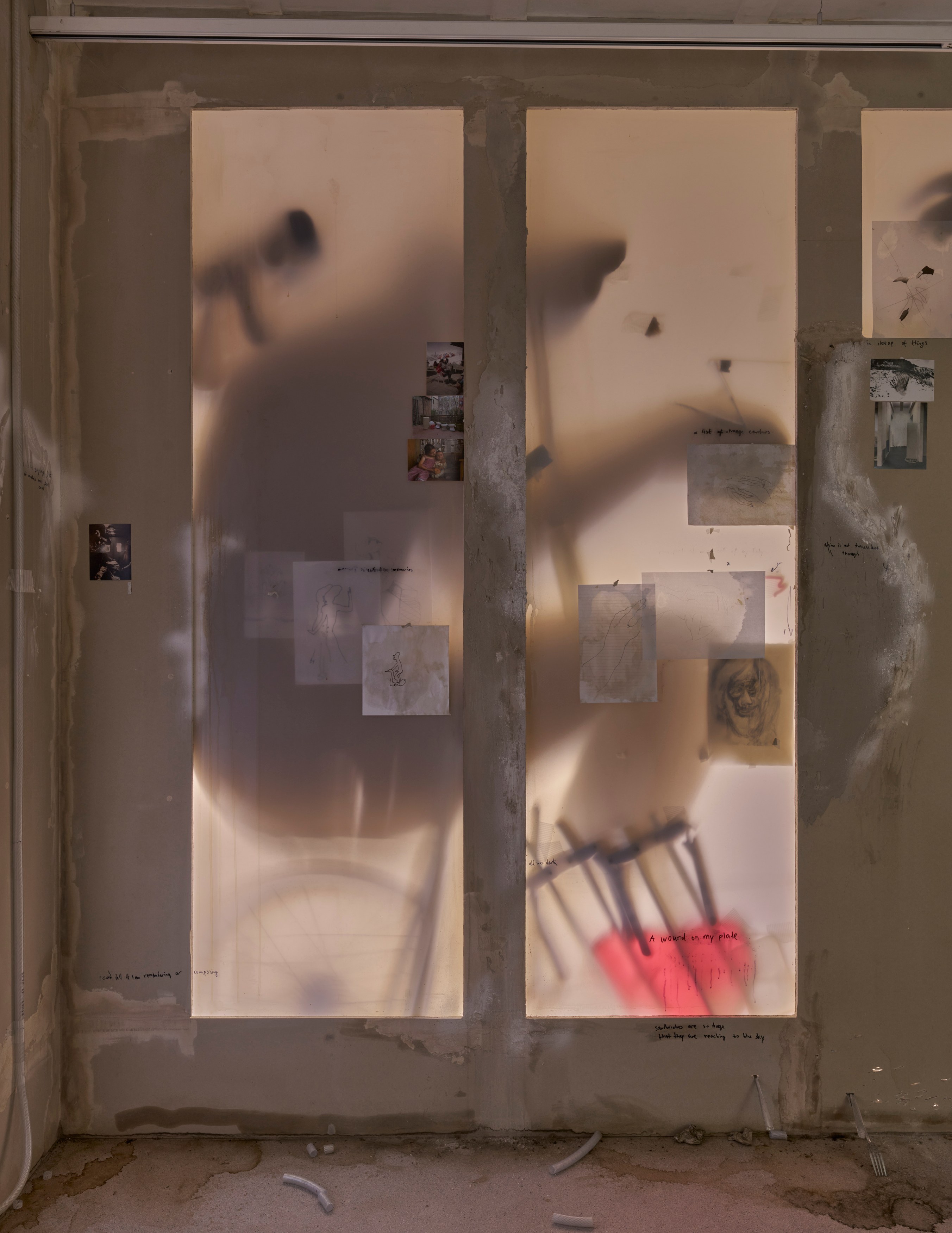 Tolia Astakhishvili, a wound on my plate at Emalin, photo 4