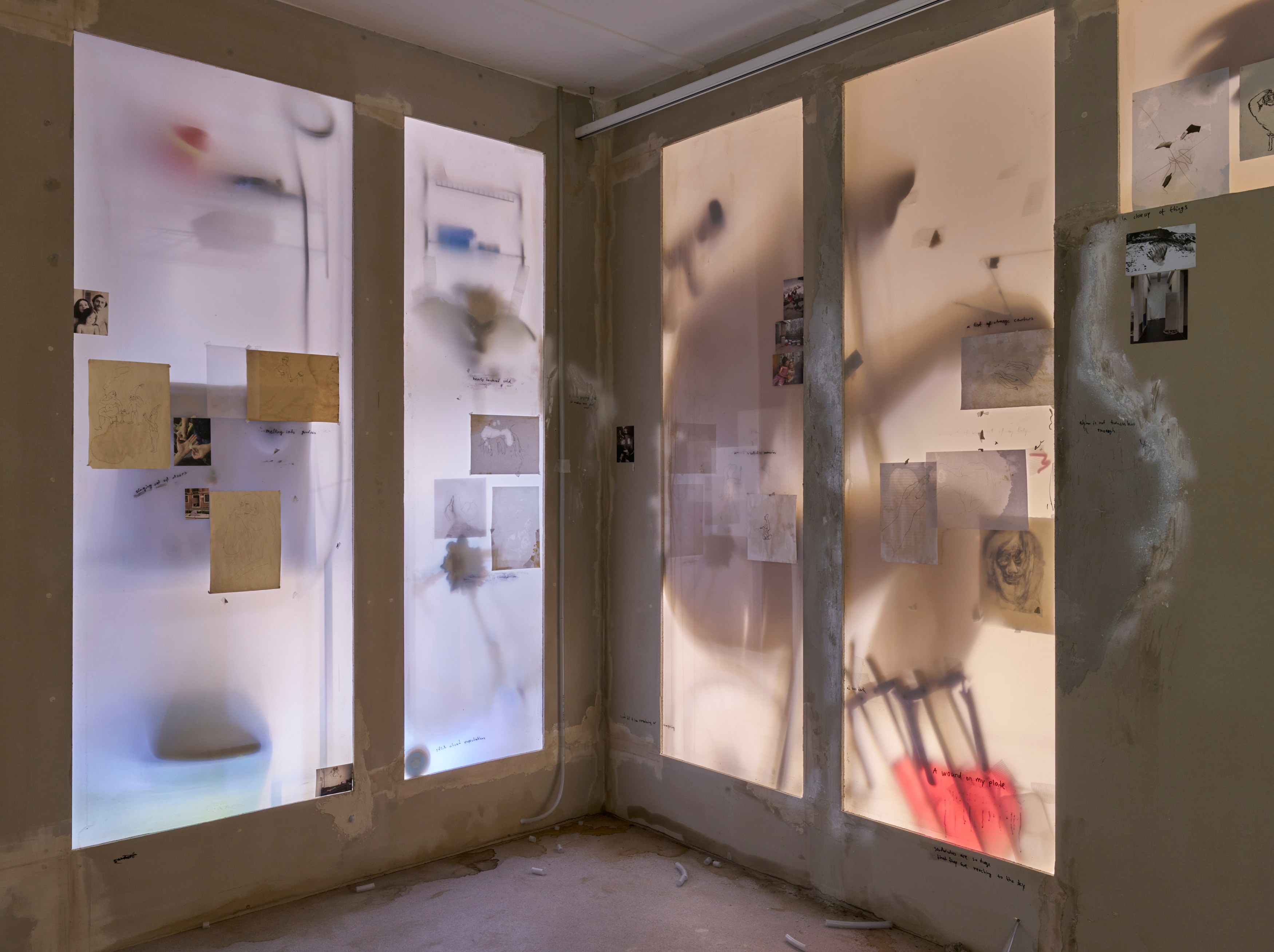 Tolia Astakhishvili, a wound on my plate at Emalin, photo 5