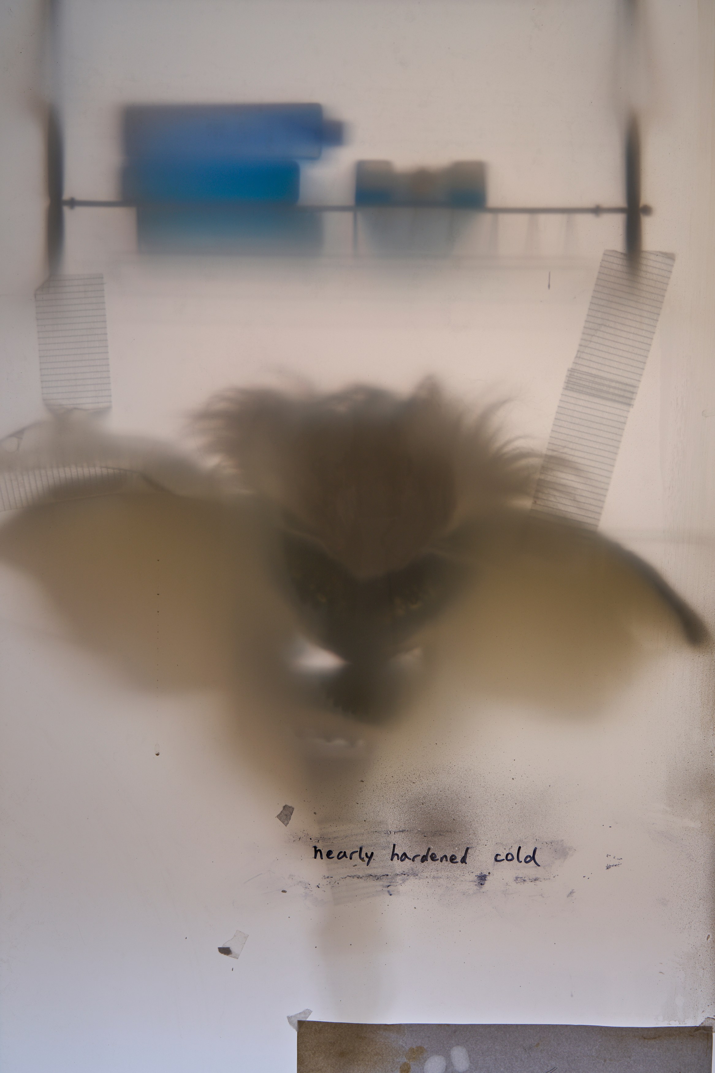 Tolia Astakhishvili, a wound on my plate at Emalin, photo 7