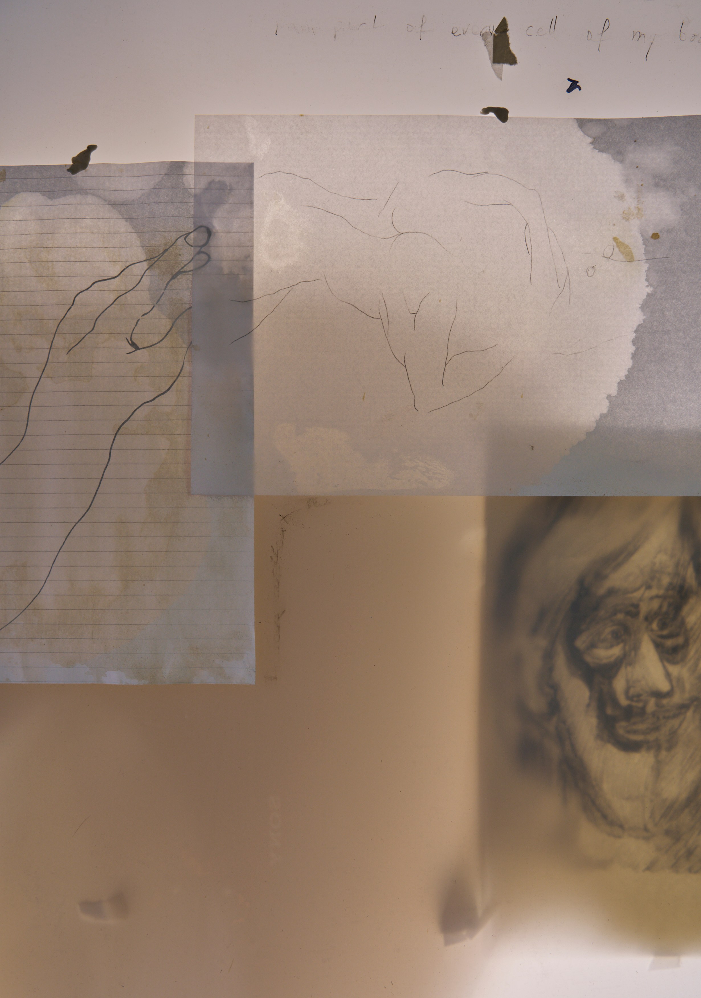 Tolia Astakhishvili, a wound on my plate at Emalin, photo 11