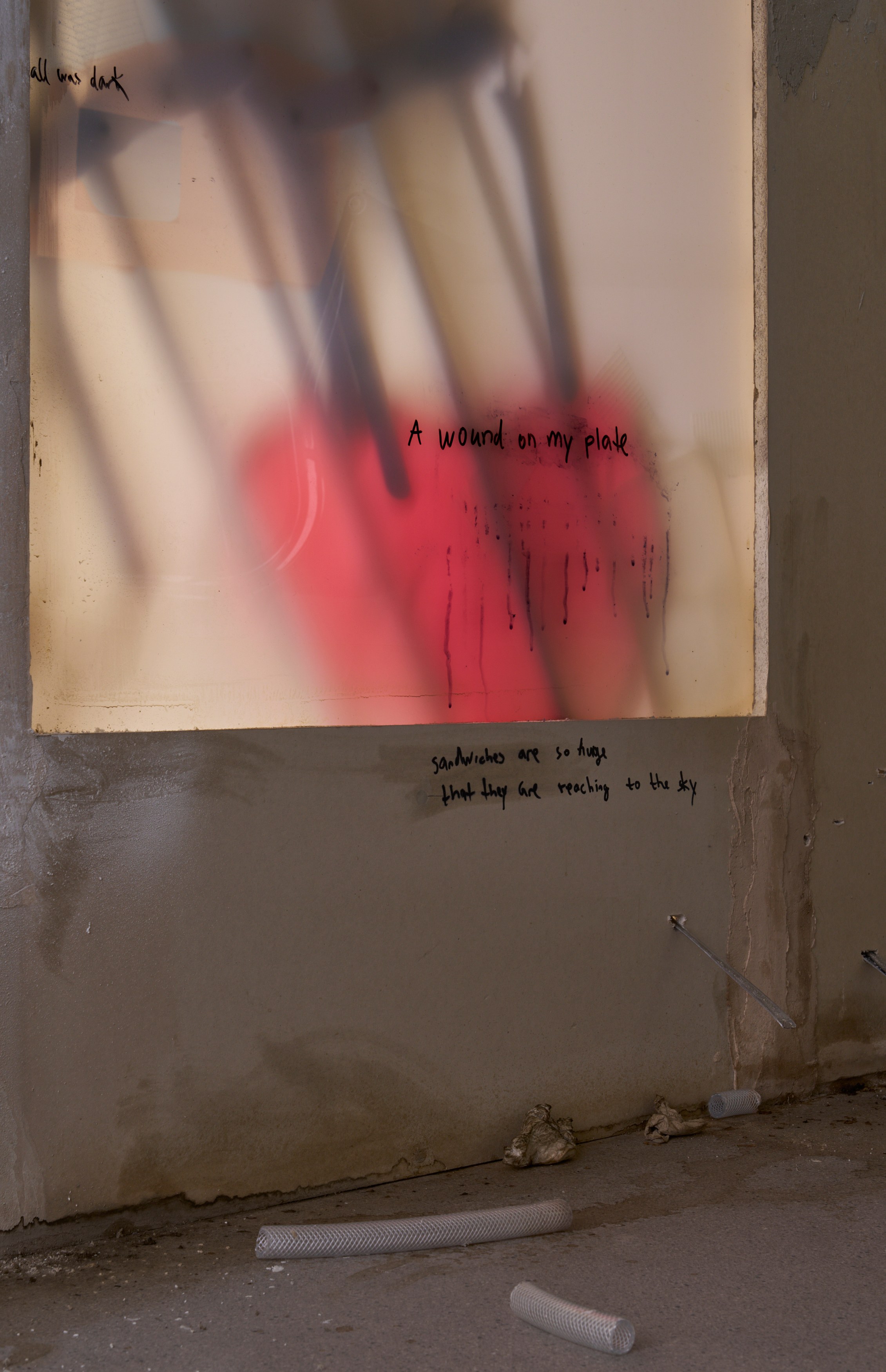 Tolia Astakhishvili, a wound on my plate at Emalin, photo 14