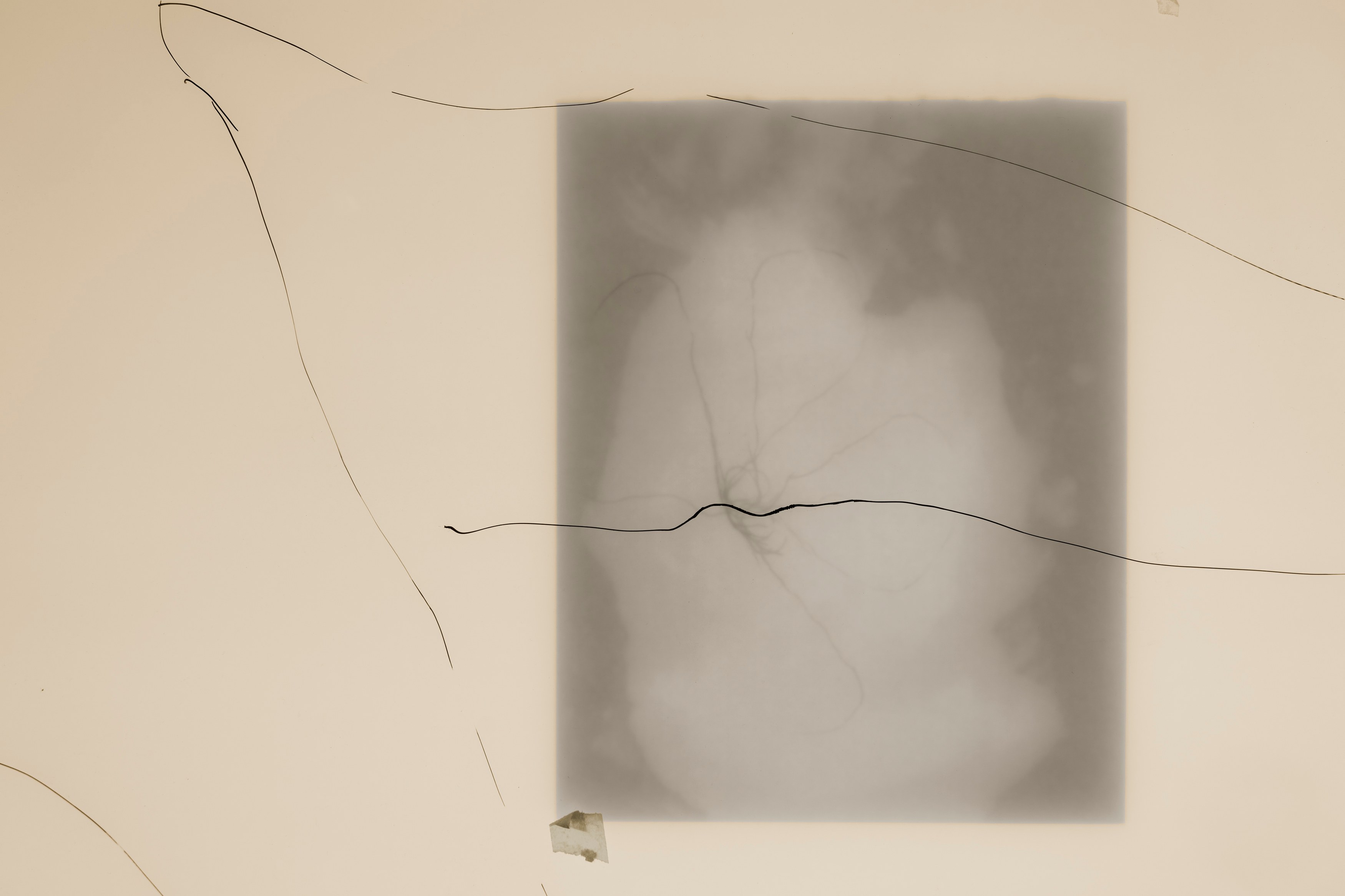 Tolia Astakhishvili, a wound on my plate at Emalin, photo 23