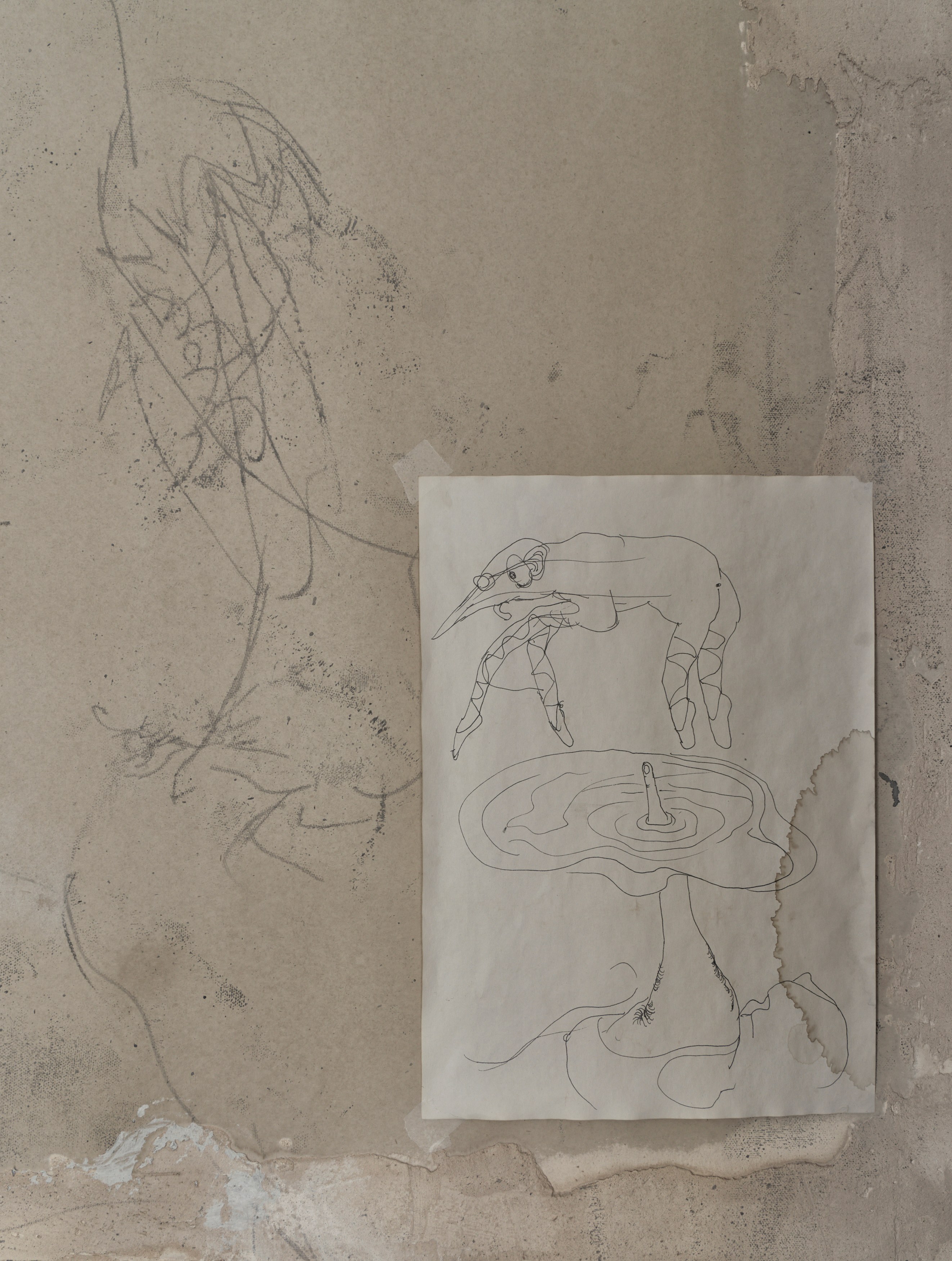 Tolia Astakhishvili, a wound on my plate at Emalin, photo 33