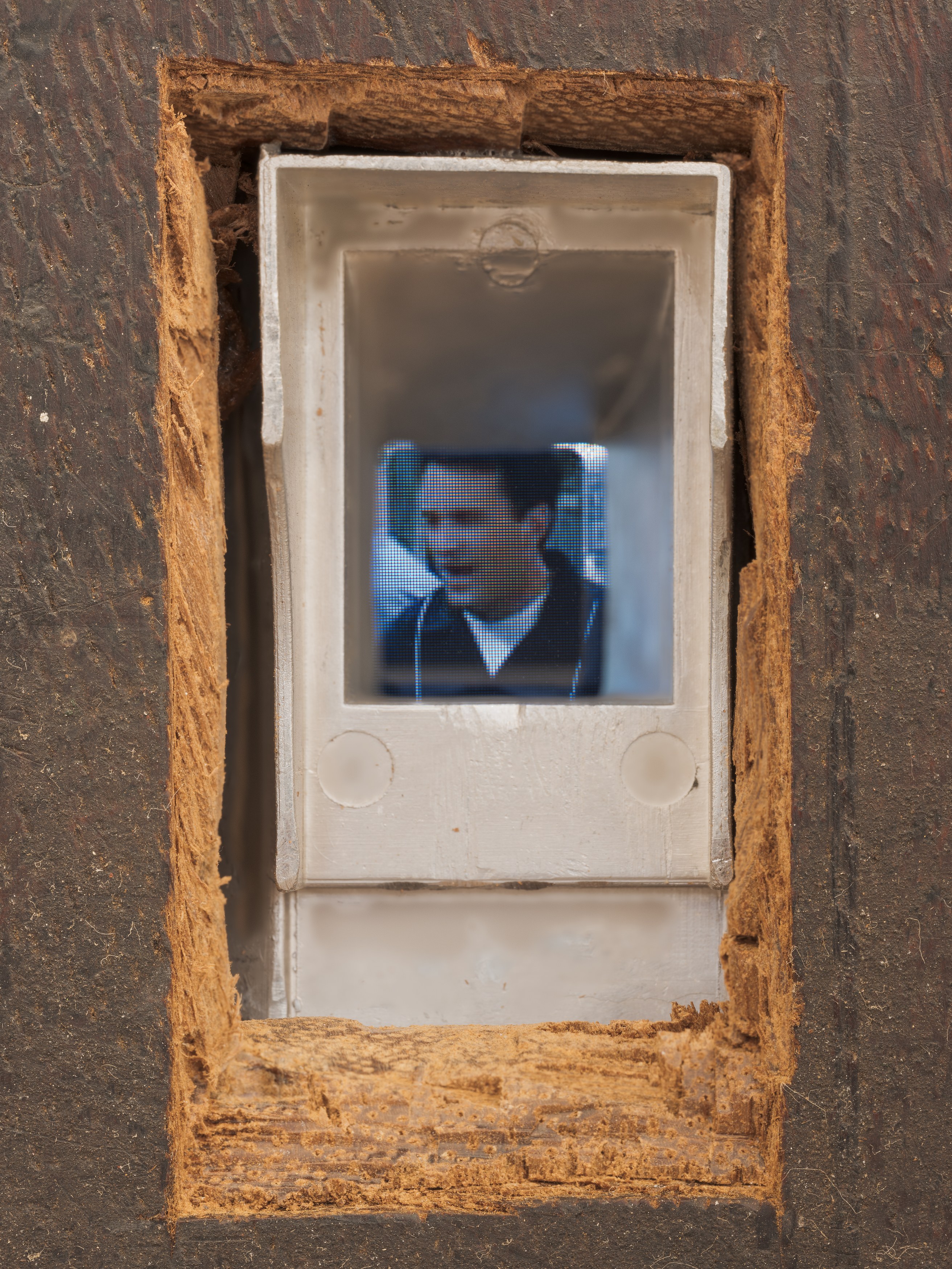 Vincent Scheers, This and Thatness at Anton Janizewski, photo 5