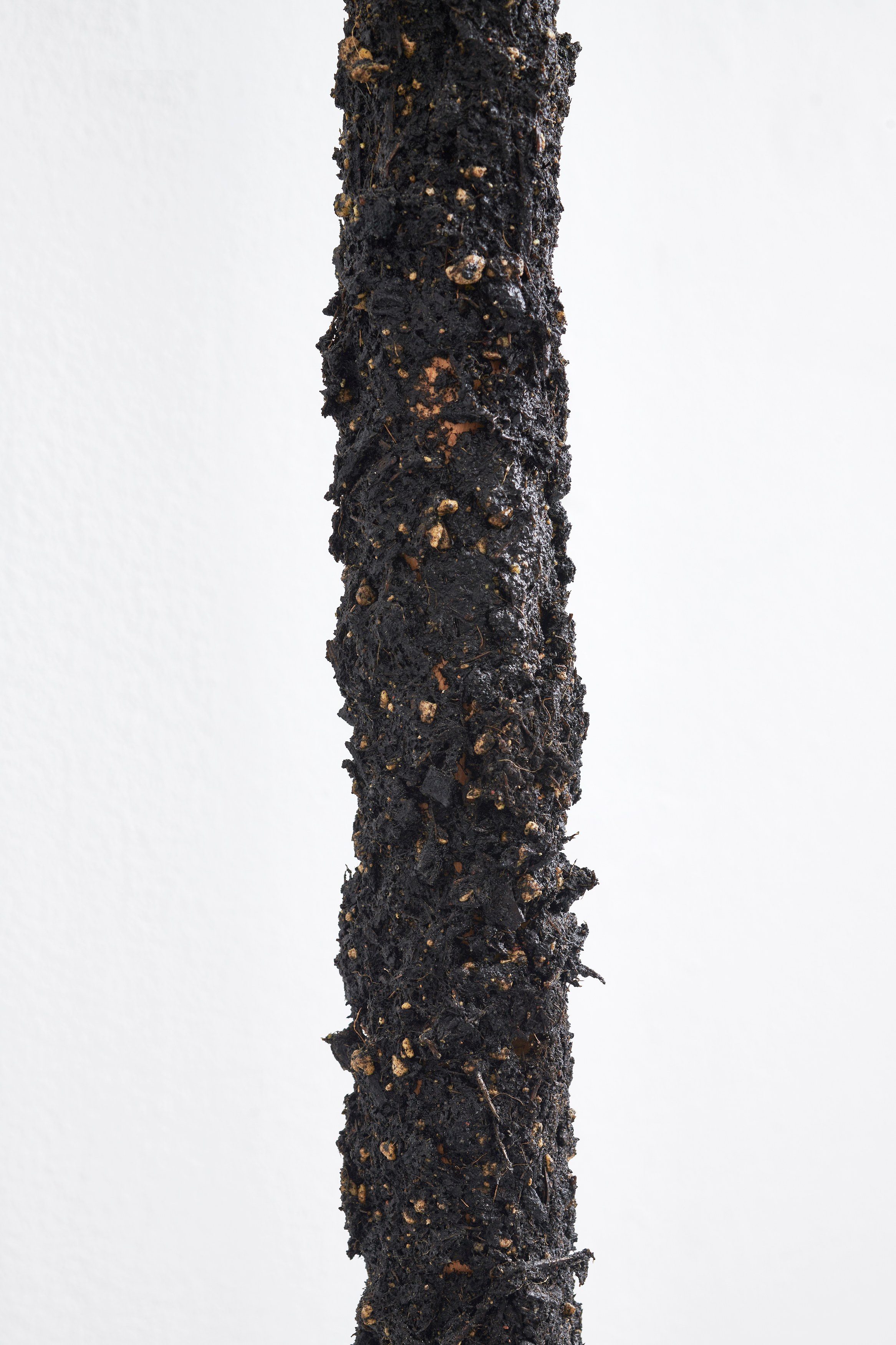 Vincent Scheers, This and Thatness at Anton Janizewski, photo 20