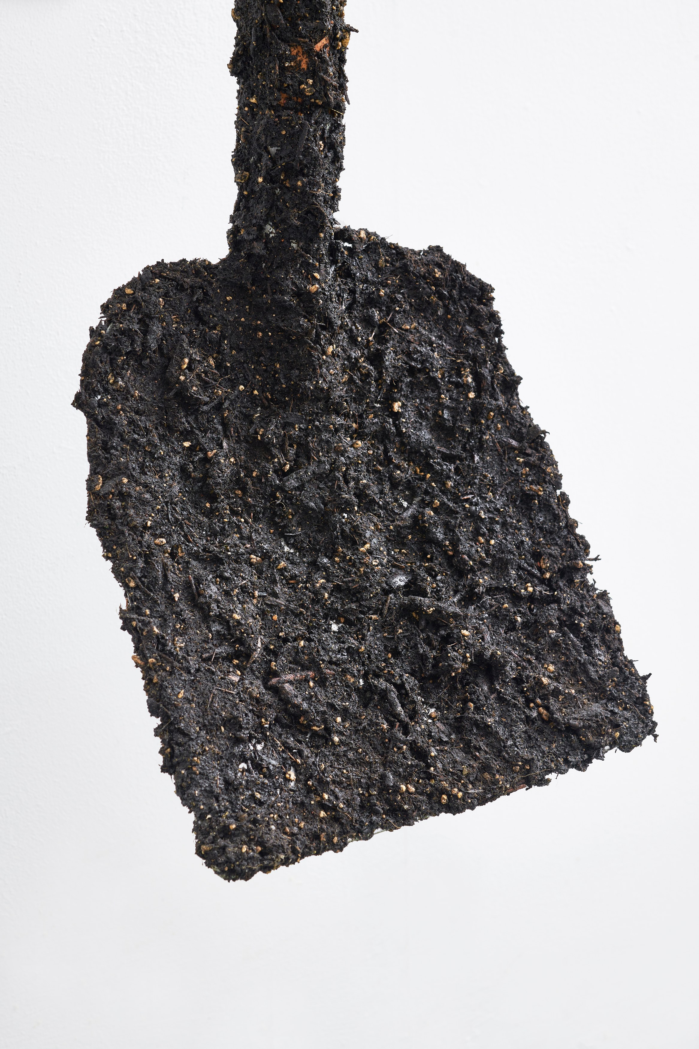 Vincent Scheers, This and Thatness at Anton Janizewski, photo 19