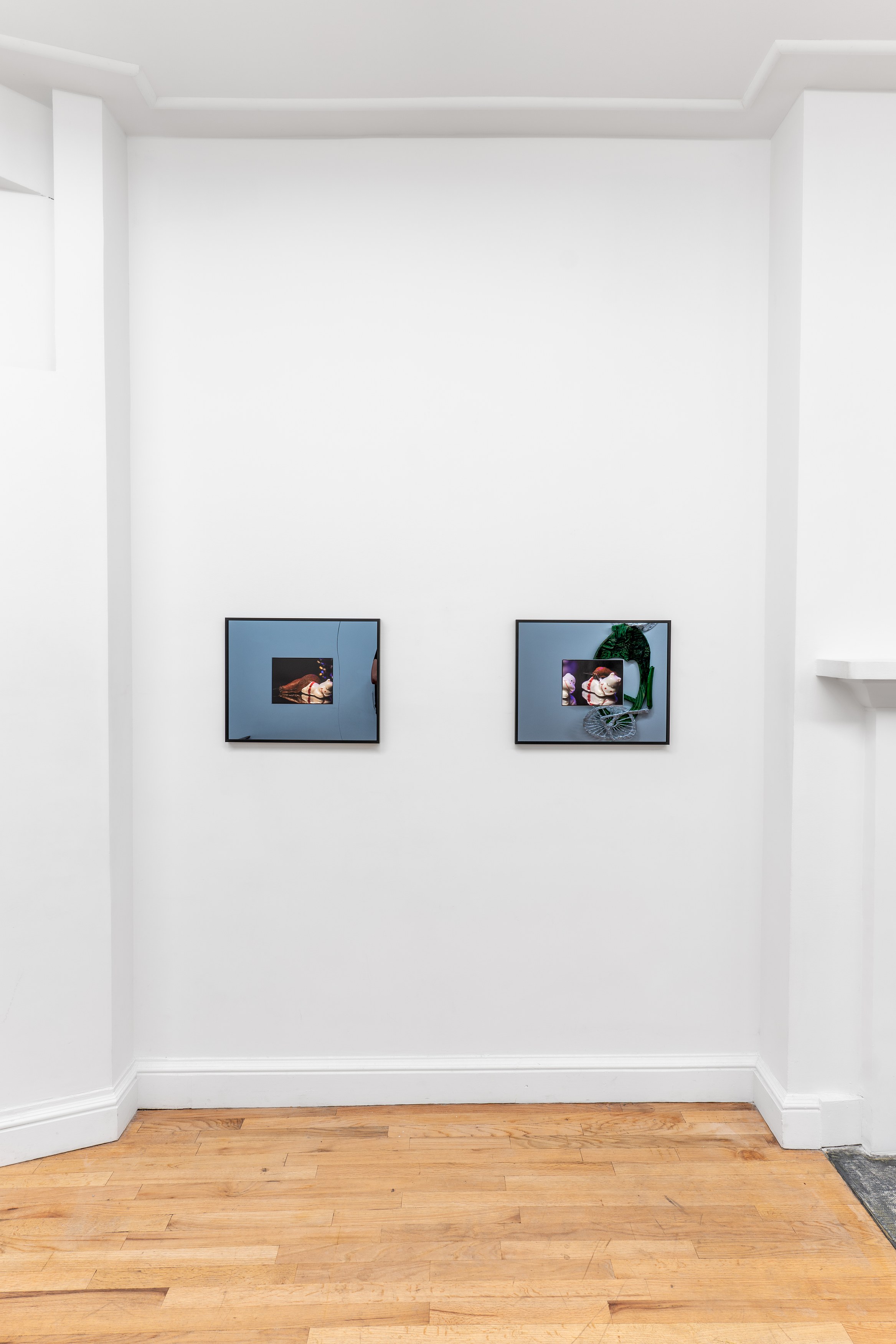 Alex Becerra, Demian Kern, Two Ears Above the Budding Grass at Galerie Timonier, photo 9