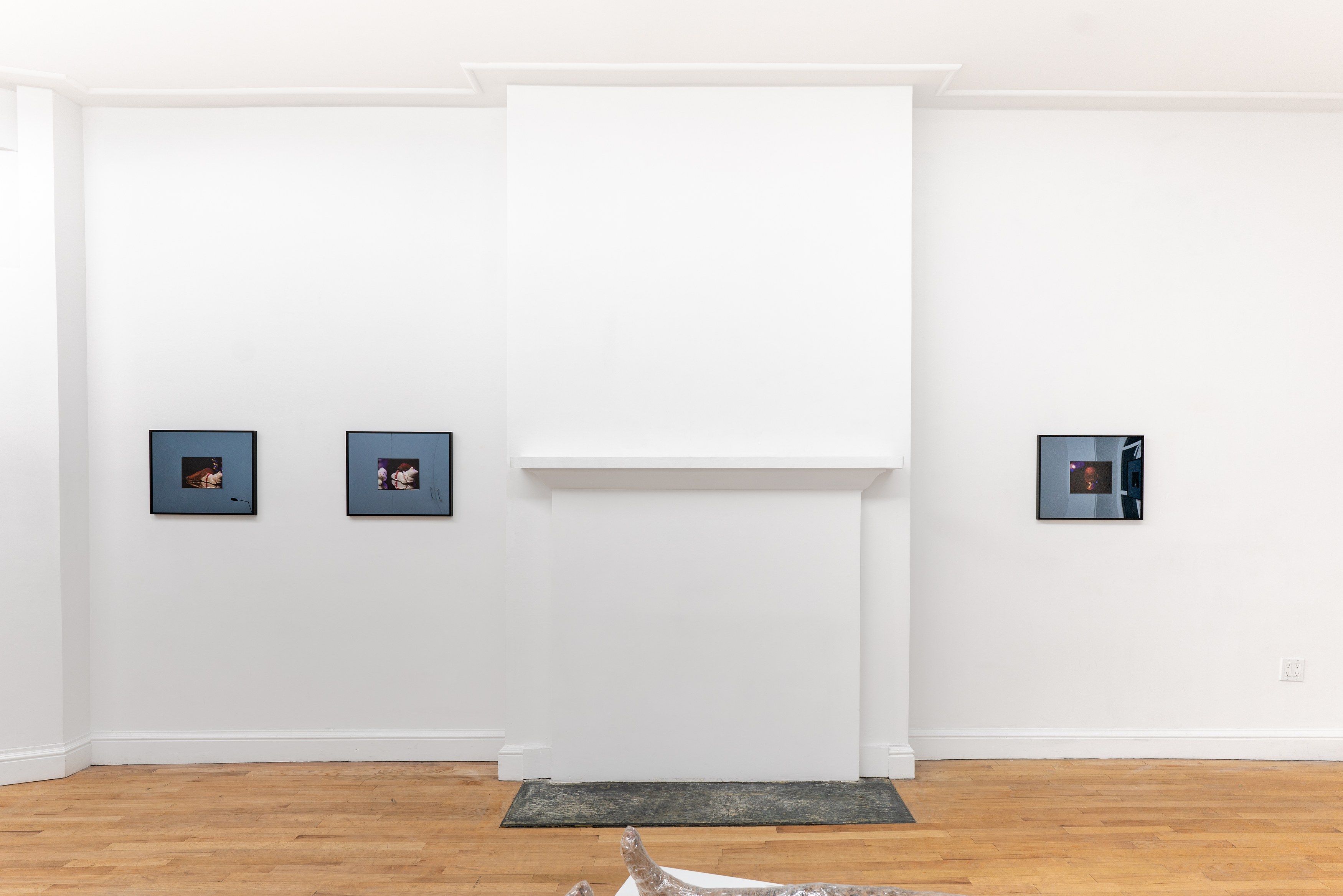 Alex Becerra, Demian Kern, Two Ears Above the Budding Grass at Galerie Timonier, photo 7