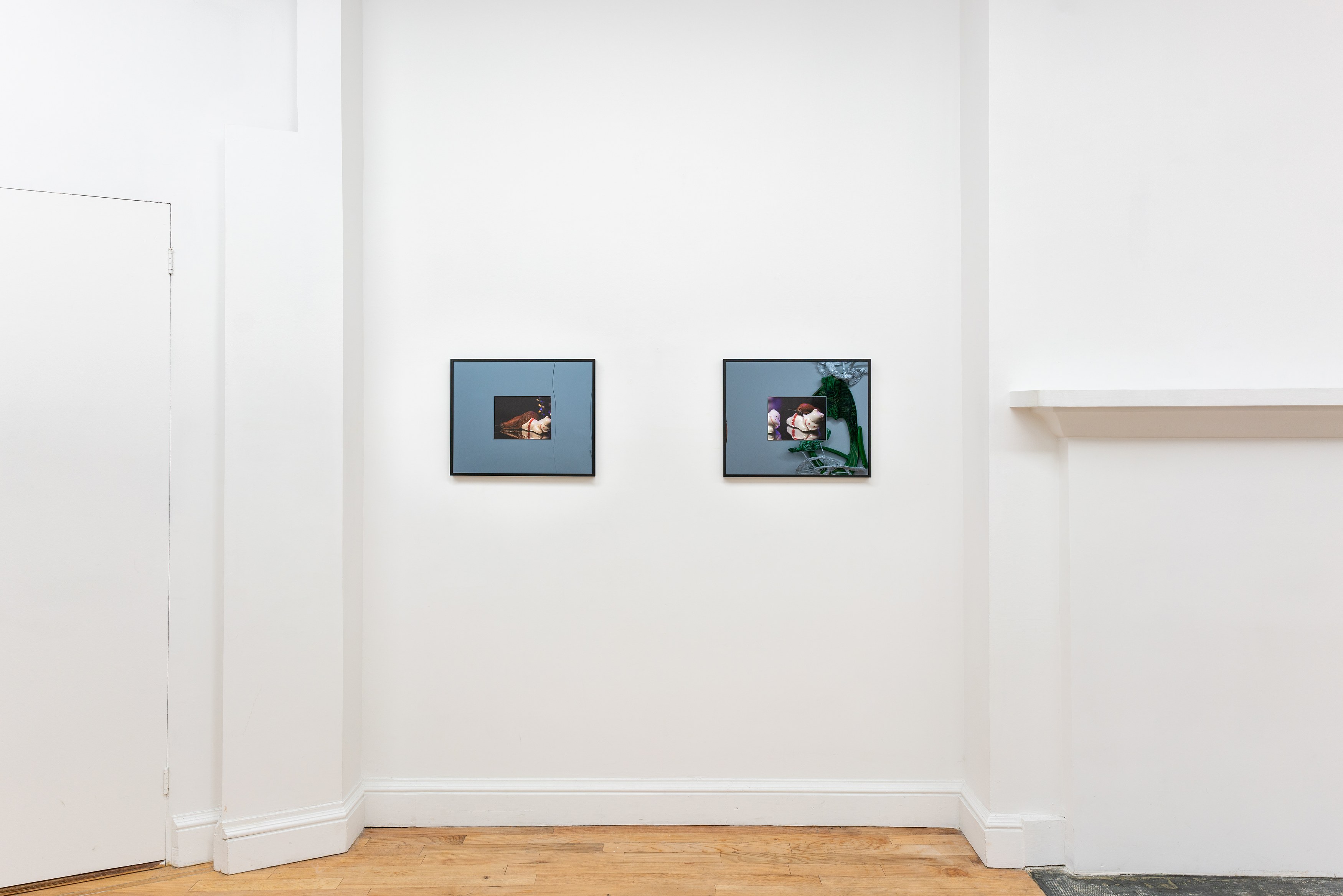 Alex Becerra, Demian Kern, Two Ears Above the Budding Grass at Galerie Timonier, photo 8