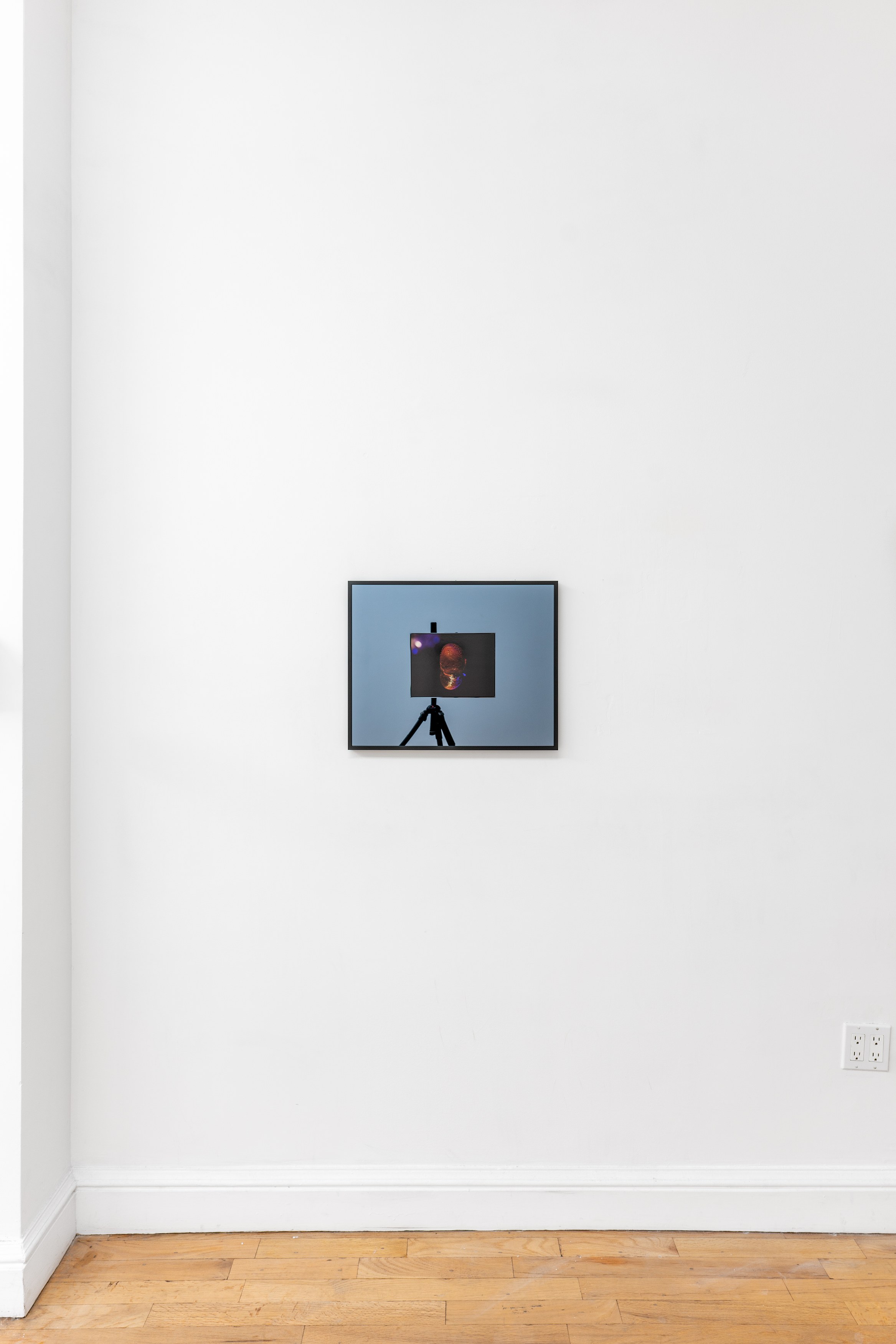 Alex Becerra, Demian Kern, Two Ears Above the Budding Grass at Galerie Timonier, photo 10