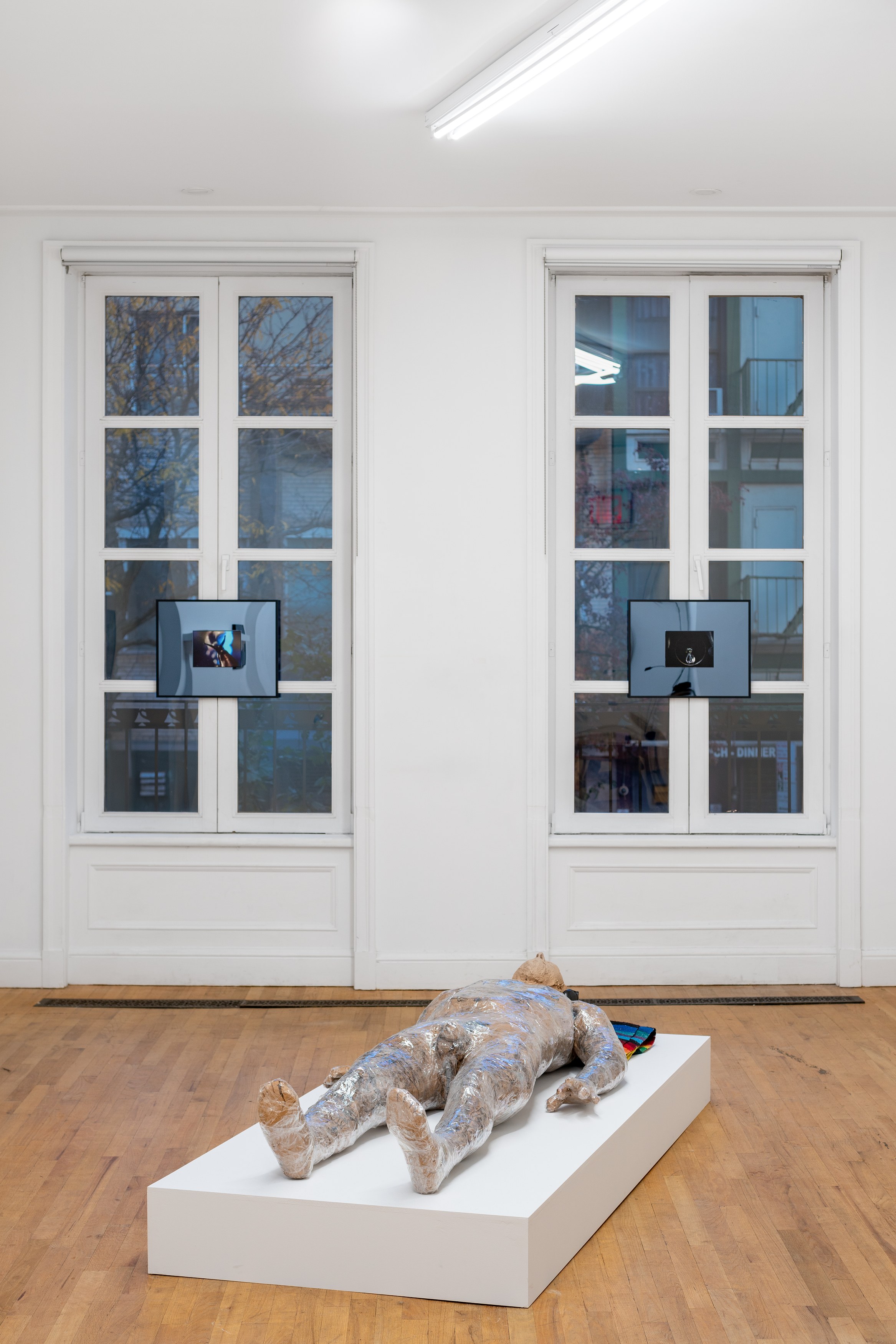 Alex Becerra, Demian Kern, Two Ears Above the Budding Grass at Galerie Timonier, photo 12