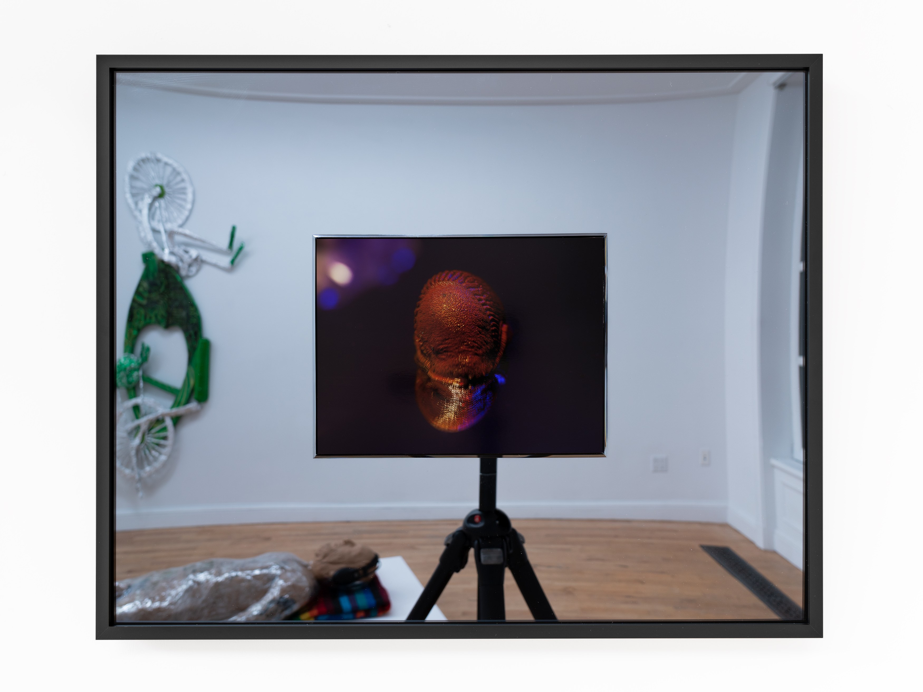Alex Becerra, Demian Kern, Two Ears Above the Budding Grass at Galerie Timonier, photo 28