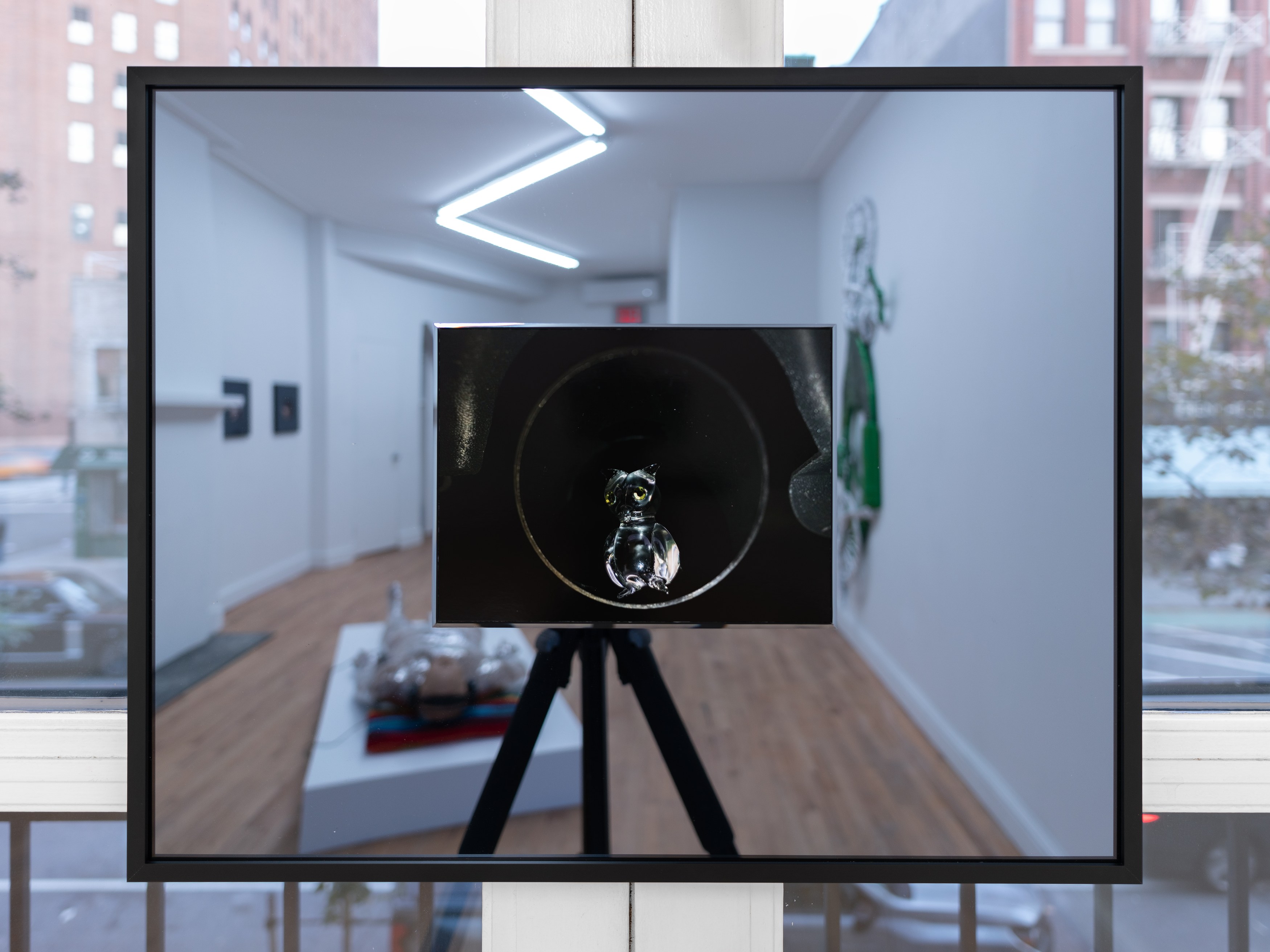 Alex Becerra, Demian Kern, Two Ears Above the Budding Grass at Galerie Timonier, photo 30