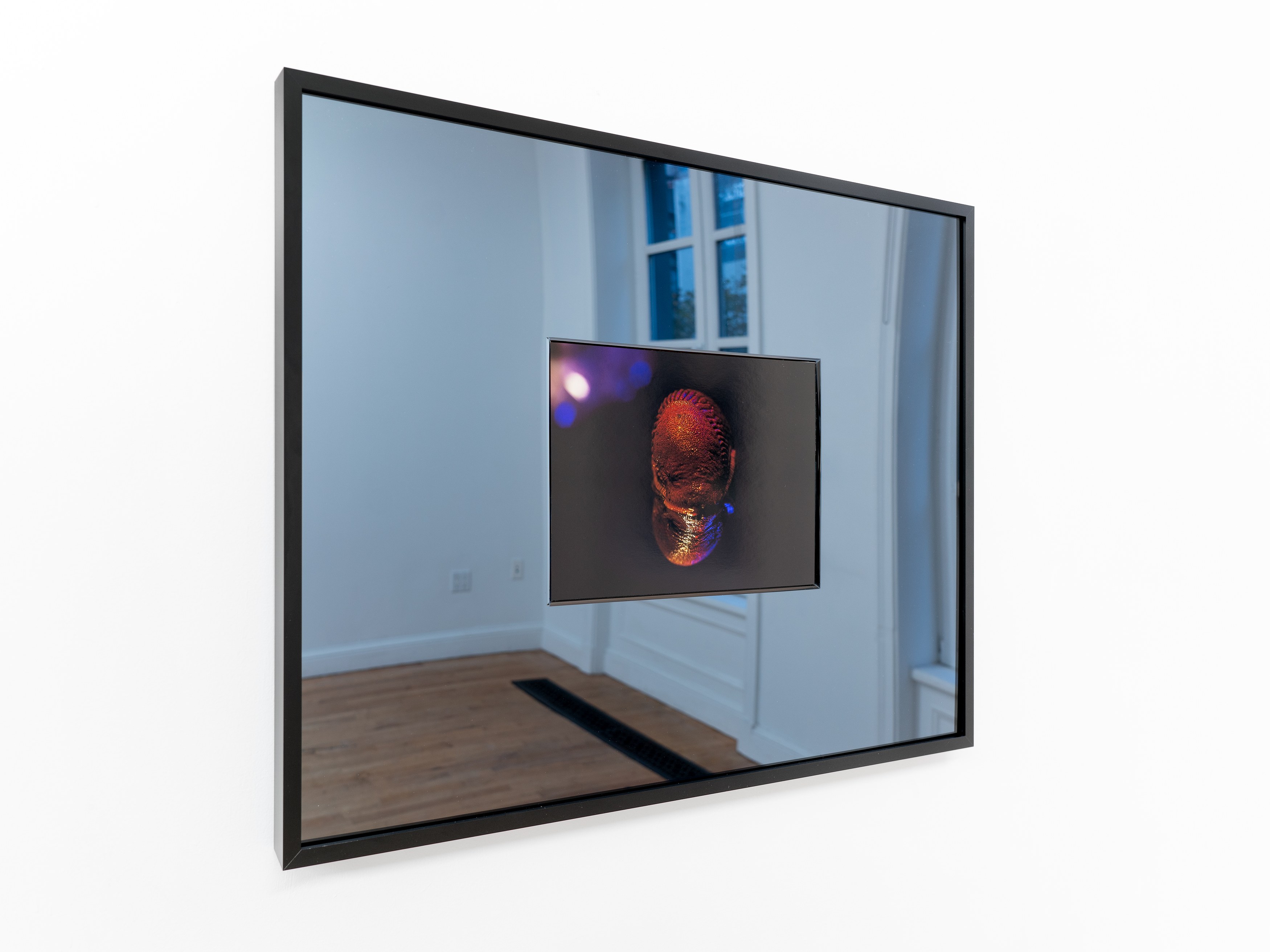Alex Becerra, Demian Kern, Two Ears Above the Budding Grass at Galerie Timonier, photo 33