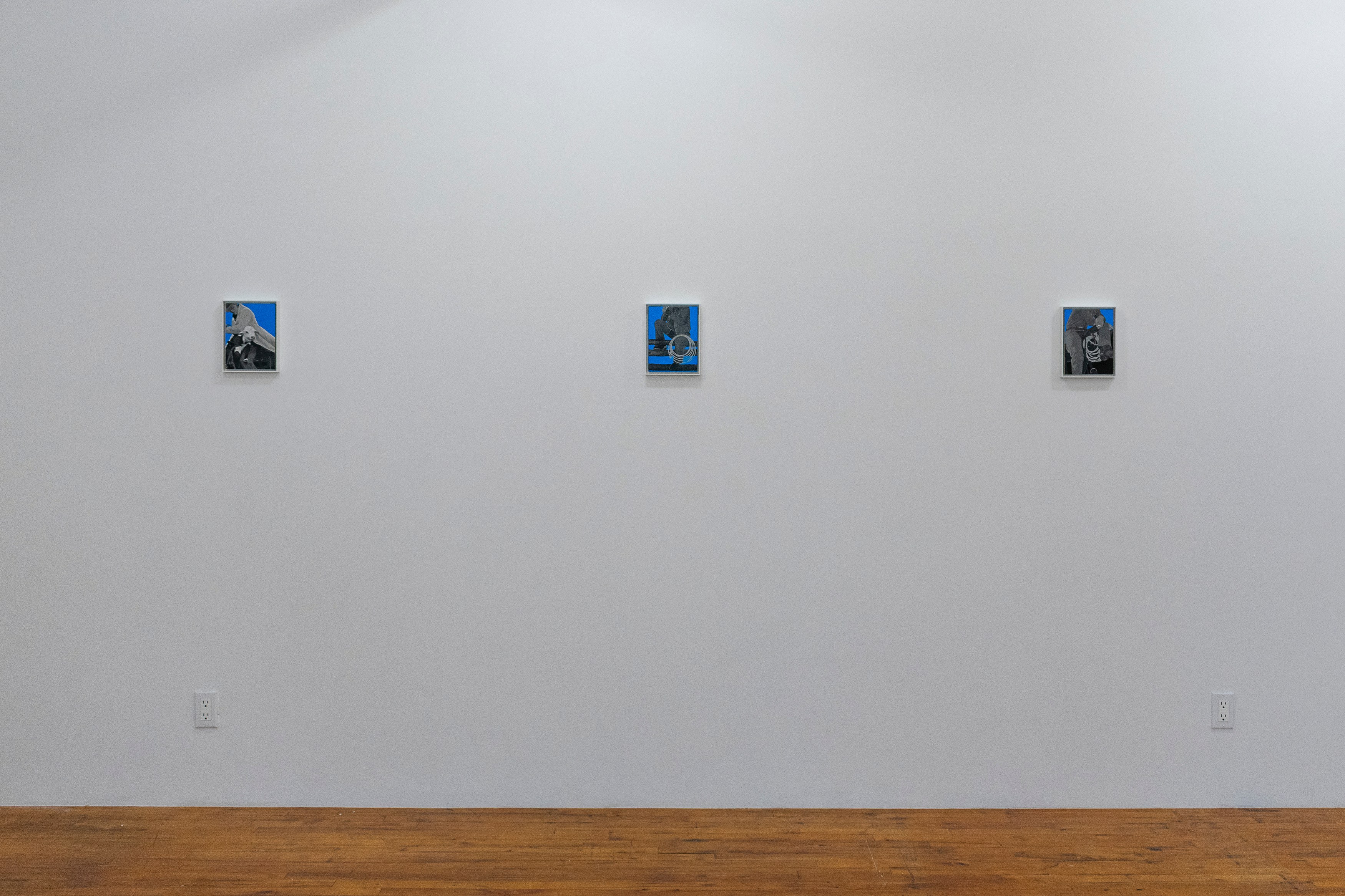 Maryam Amiryani, image 2 of 15