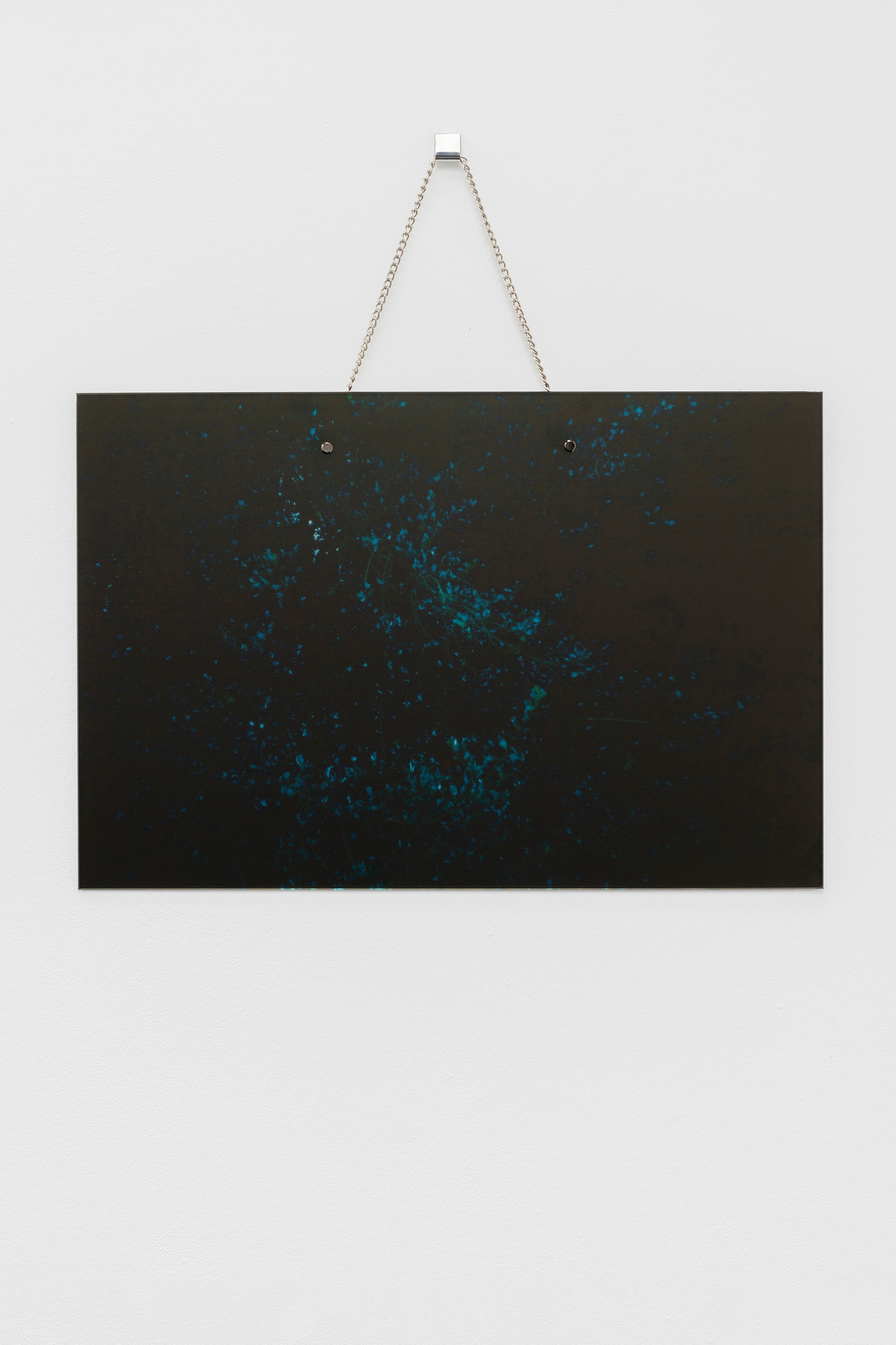Anna Holtz, Kathrin Wojtowicz, image 22 of 27