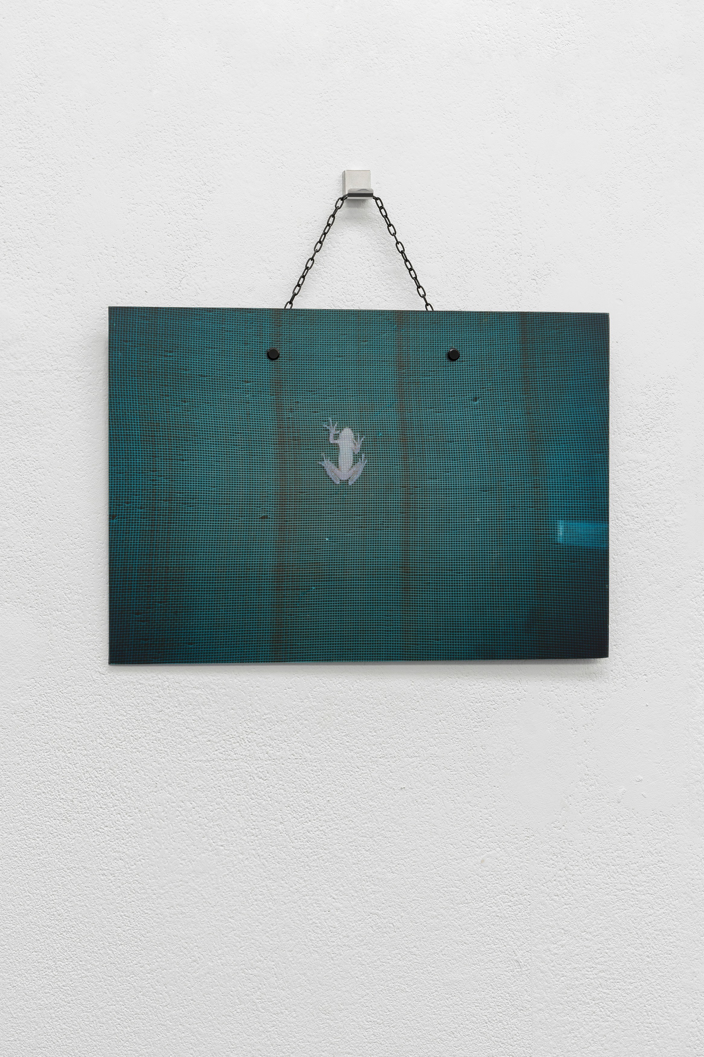 Anna Holtz, Kathrin Wojtowicz, image 27 of 27