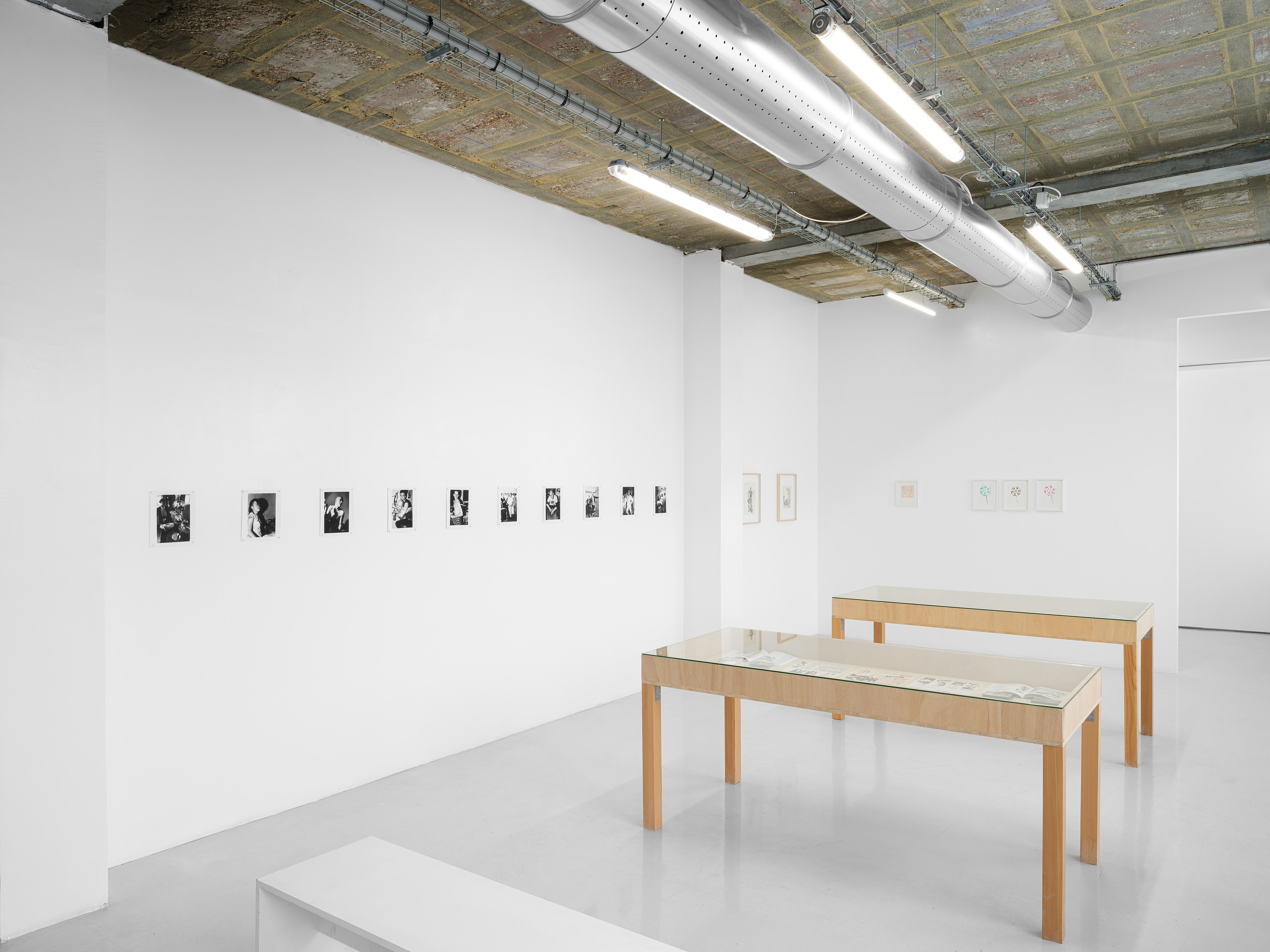 G.B. Jones, Double Bill: The films of G.B. Jones at Air de Paris, photo 3